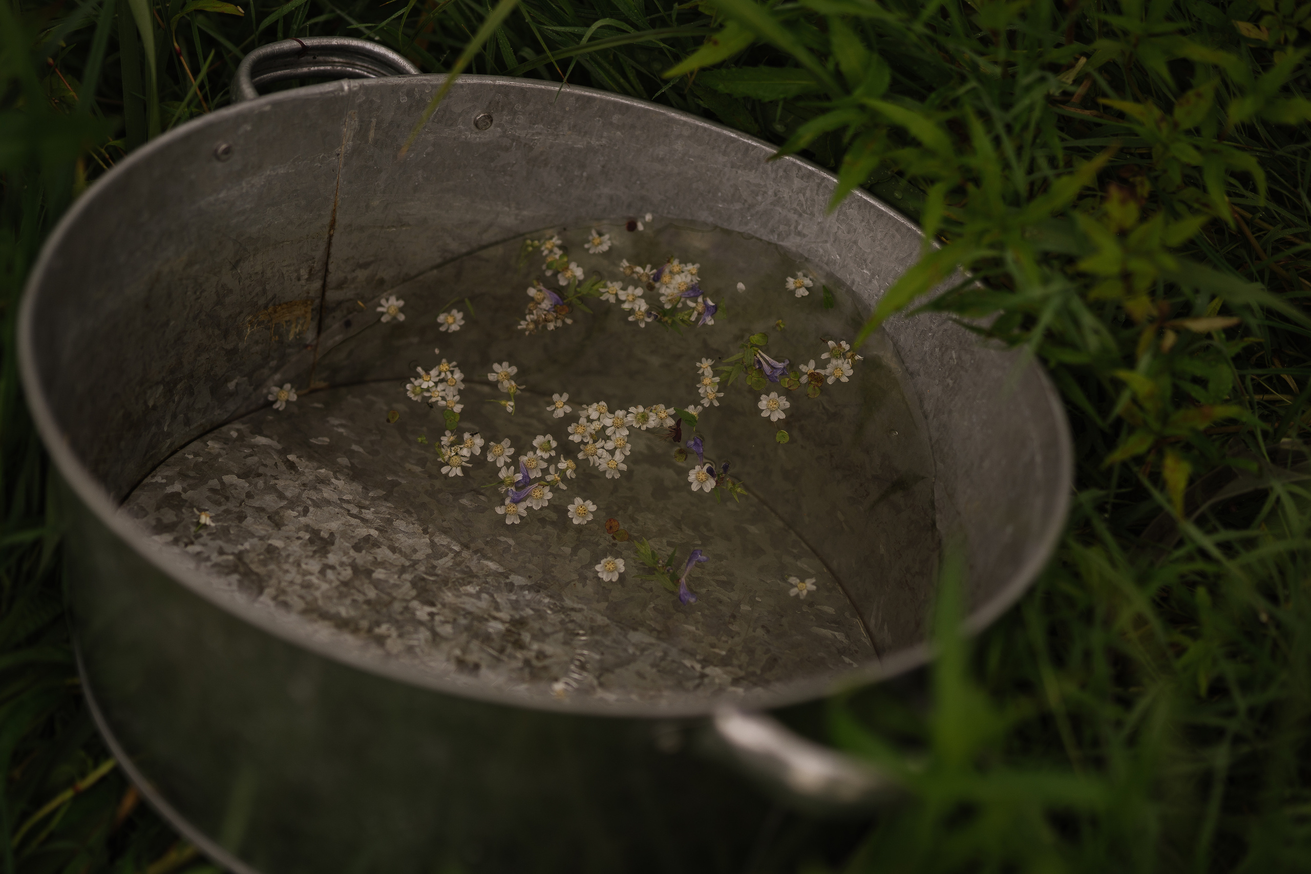 Margarita (o-la-la, Italia). Искренний фотограф