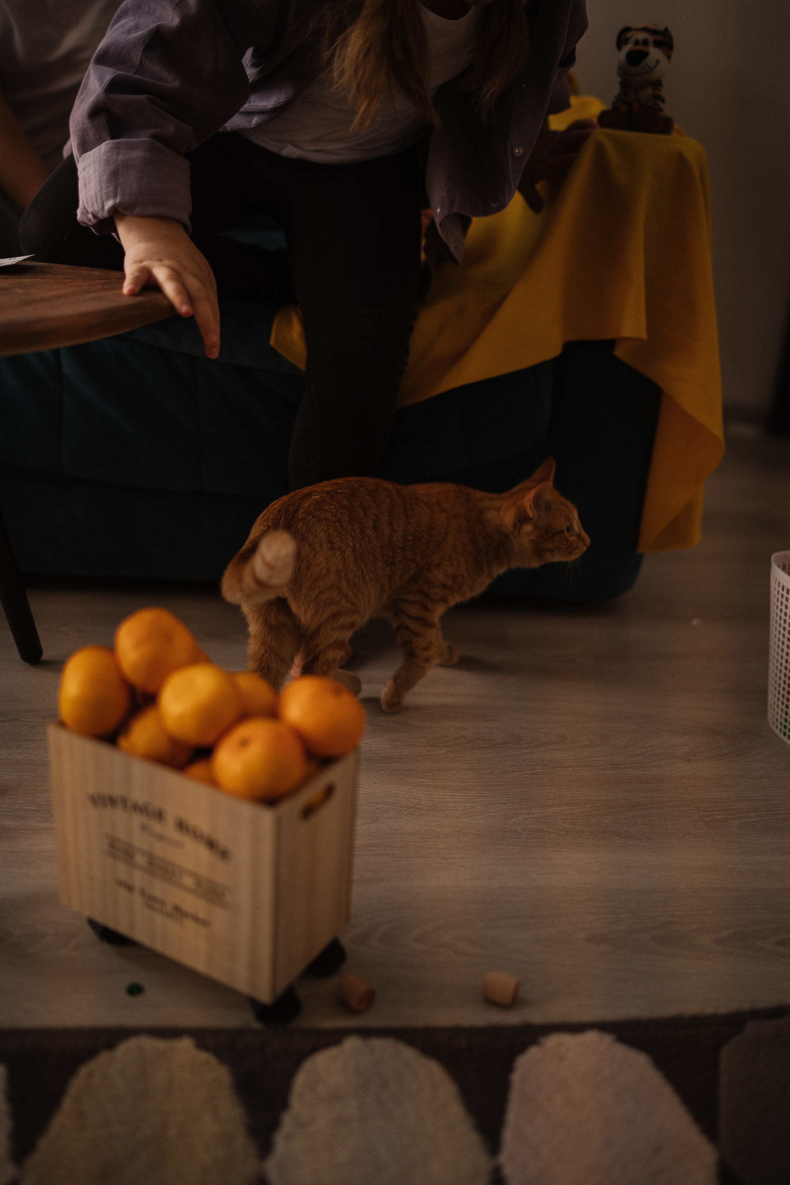 Семейная фотоистория Тани, Вики&Алисы. Искренний фотограф