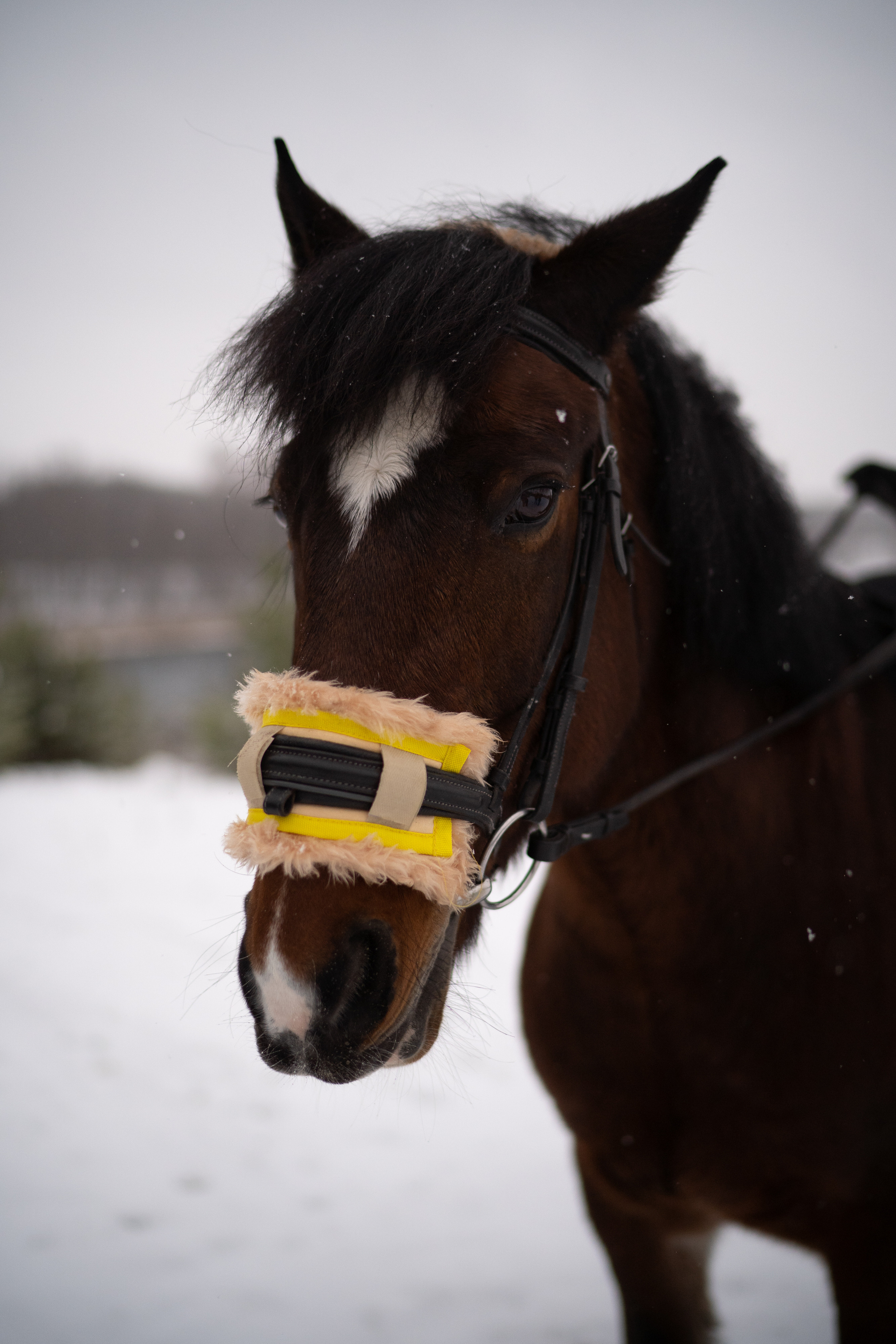 Семейные.Утренние.Лесные кадры. Искренний фотограф