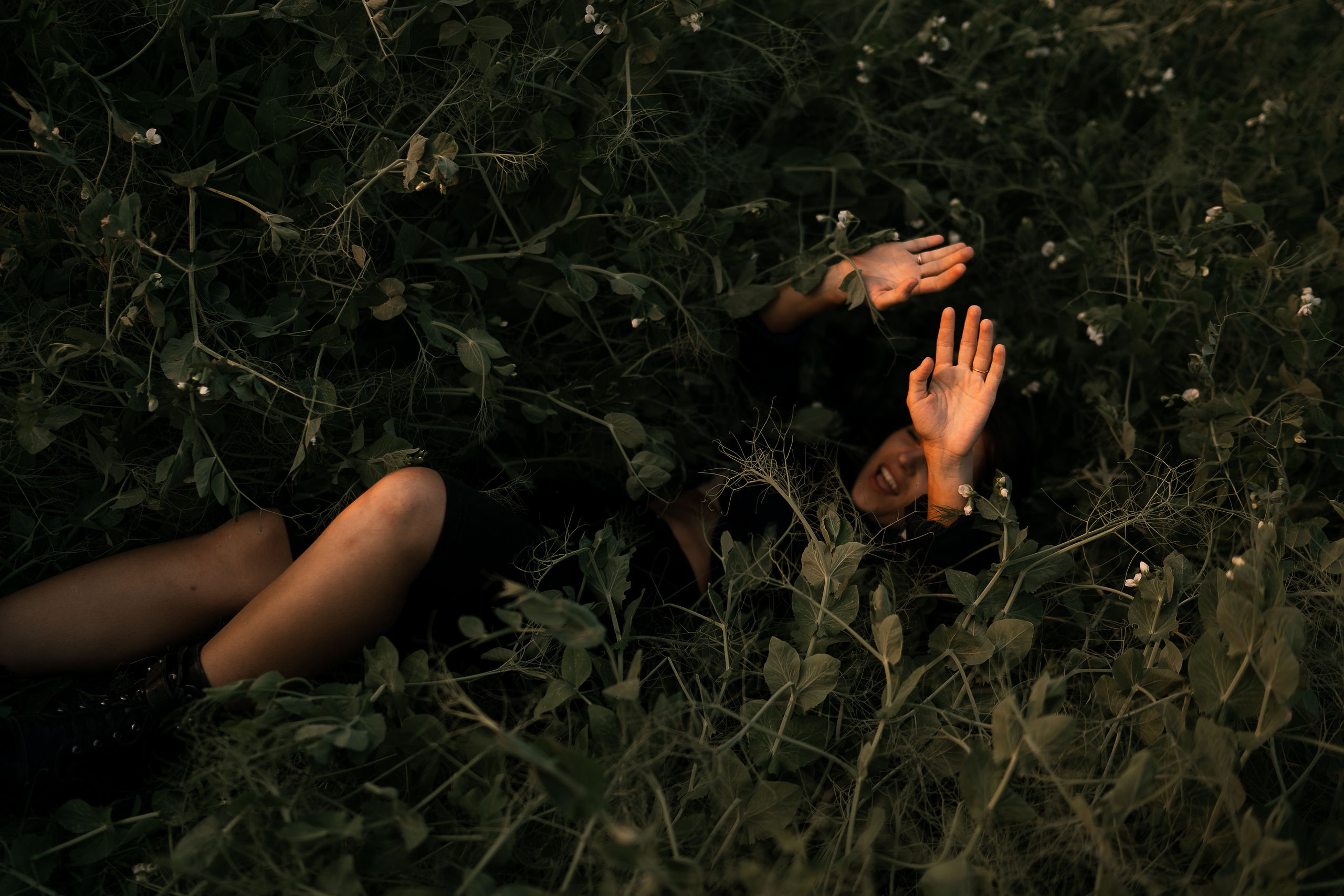 Жаркий июньский вечер. Искренний фотограф