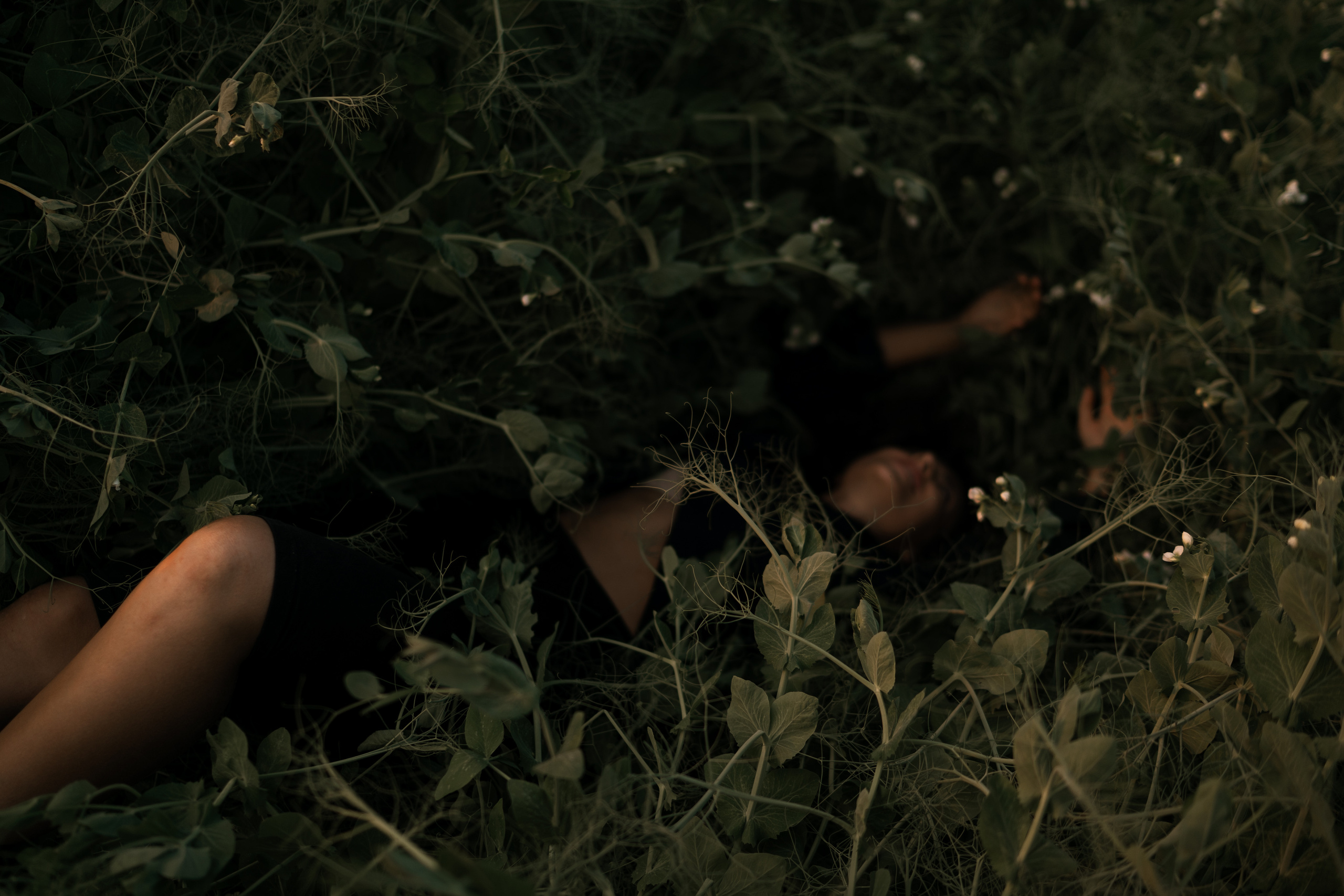 Жаркий июньский вечер. Искренний фотограф