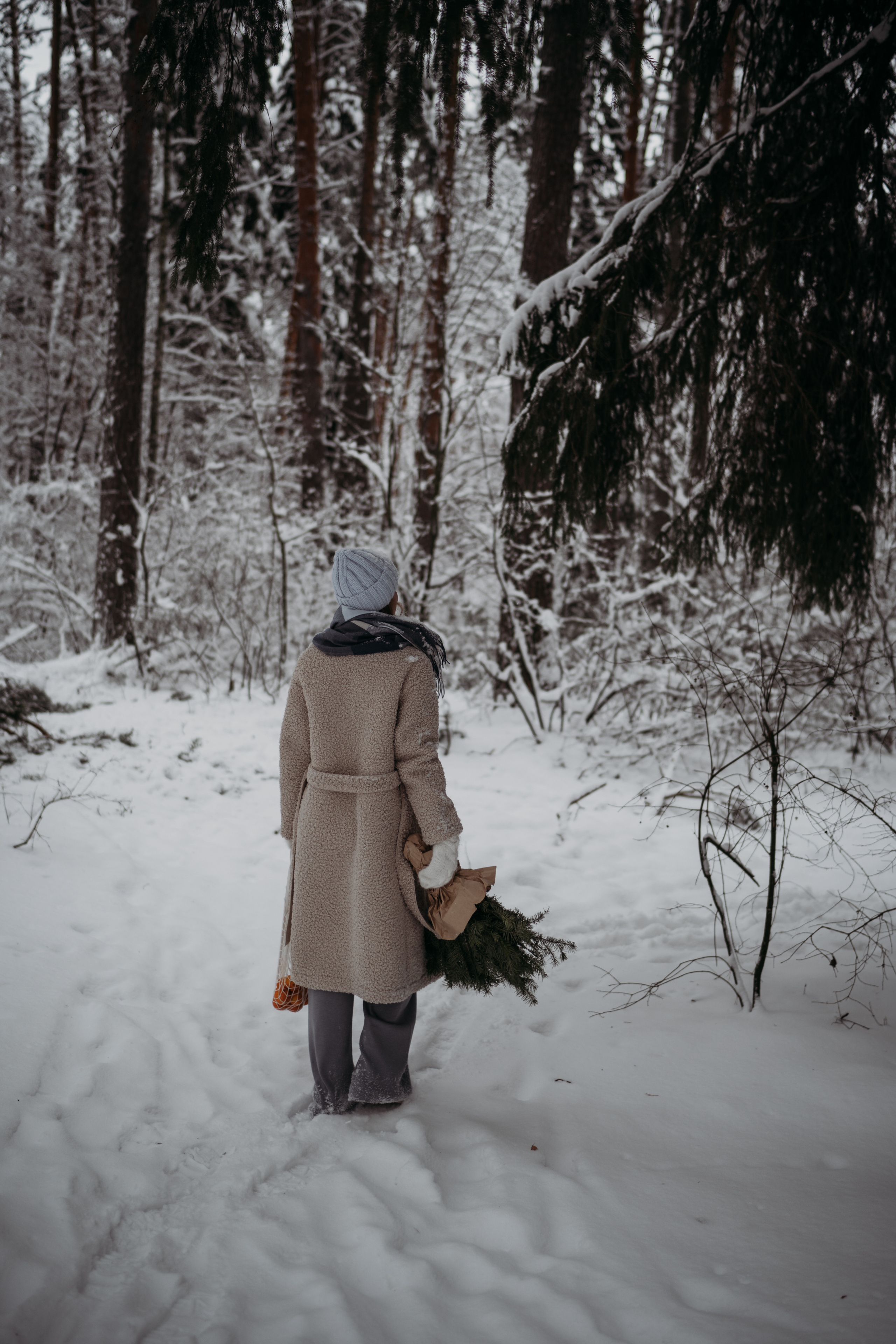 Декабрь снежный. Искренний фотограф