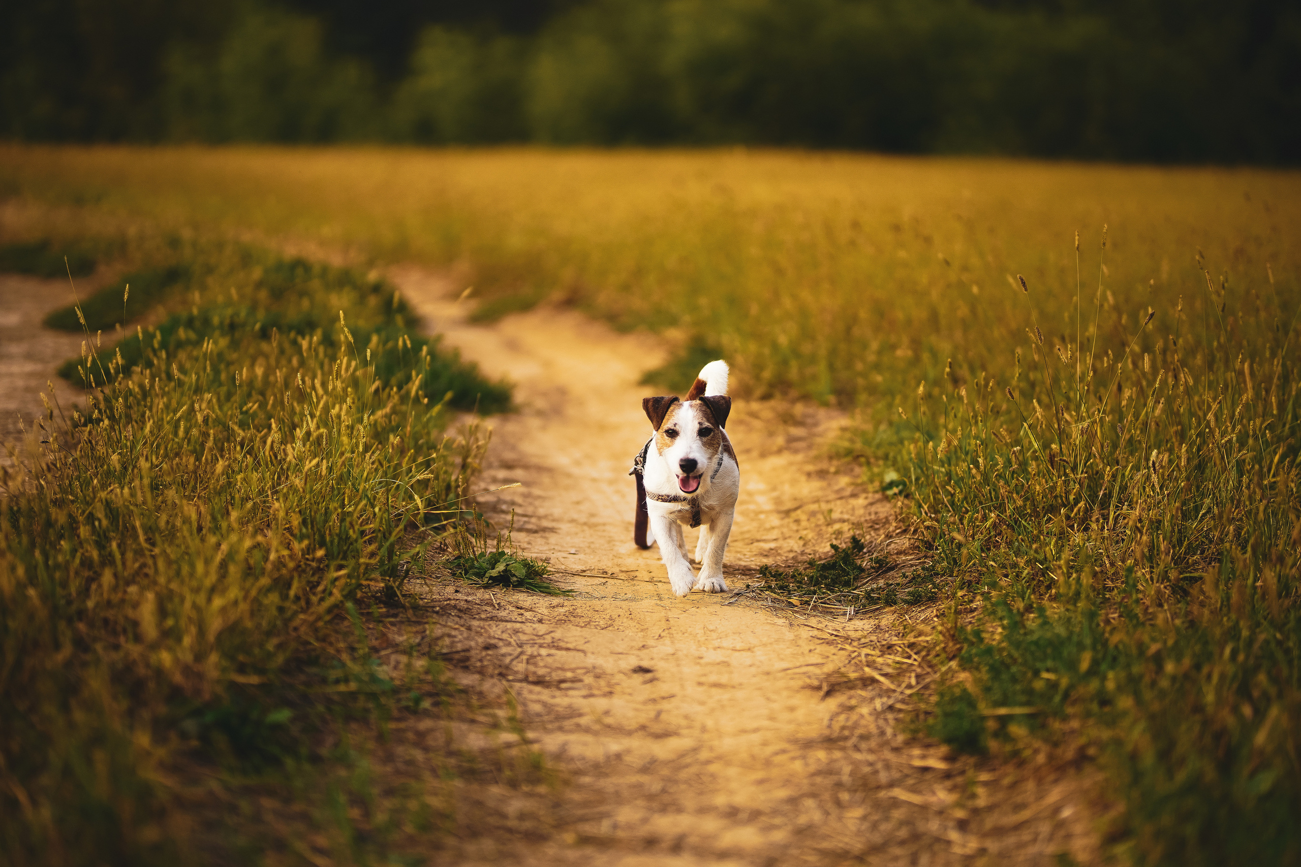 Настя Гусева. Искренний фотограф