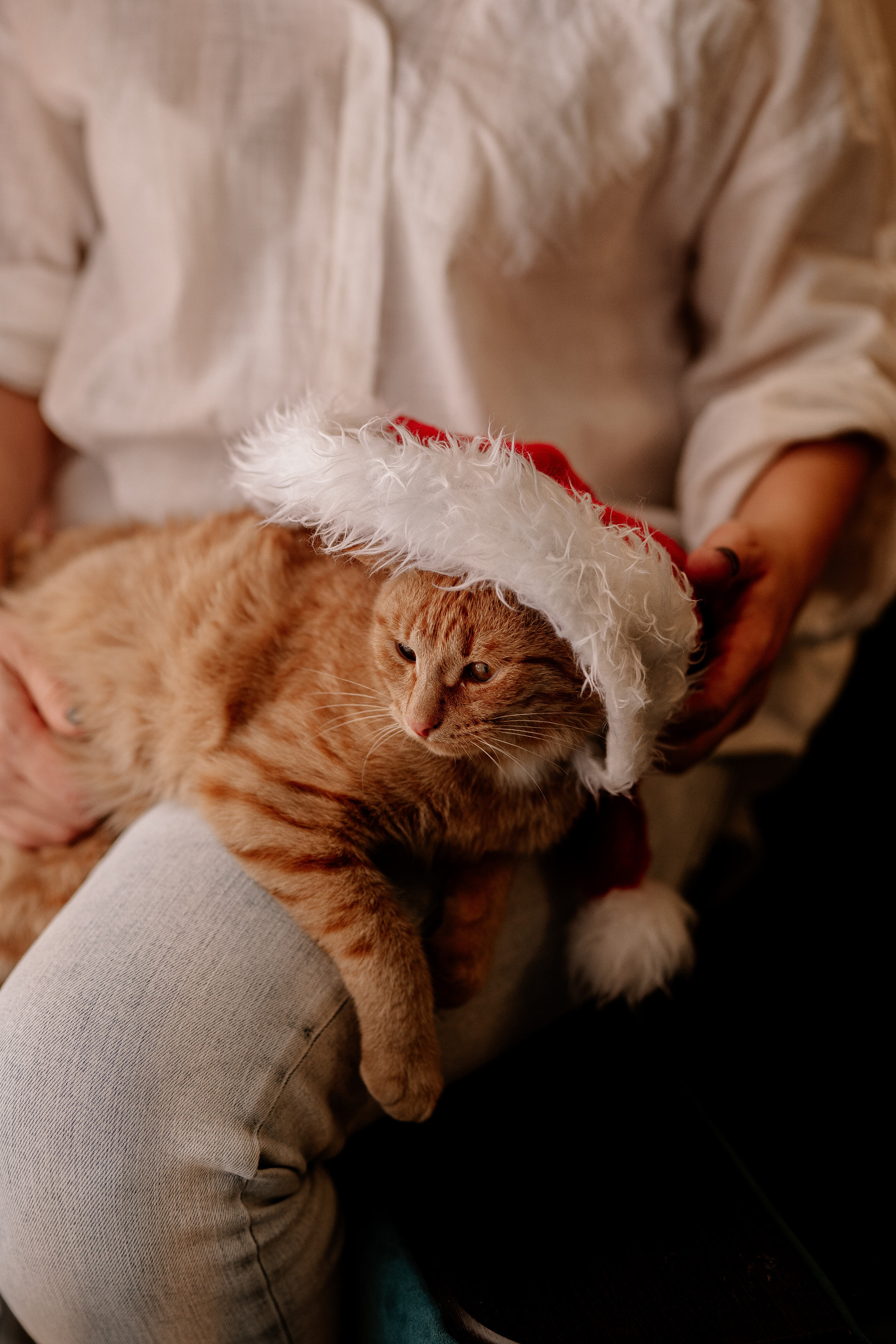 Семейная фотоистория Тани, Вики&Алисы. Искренний фотограф