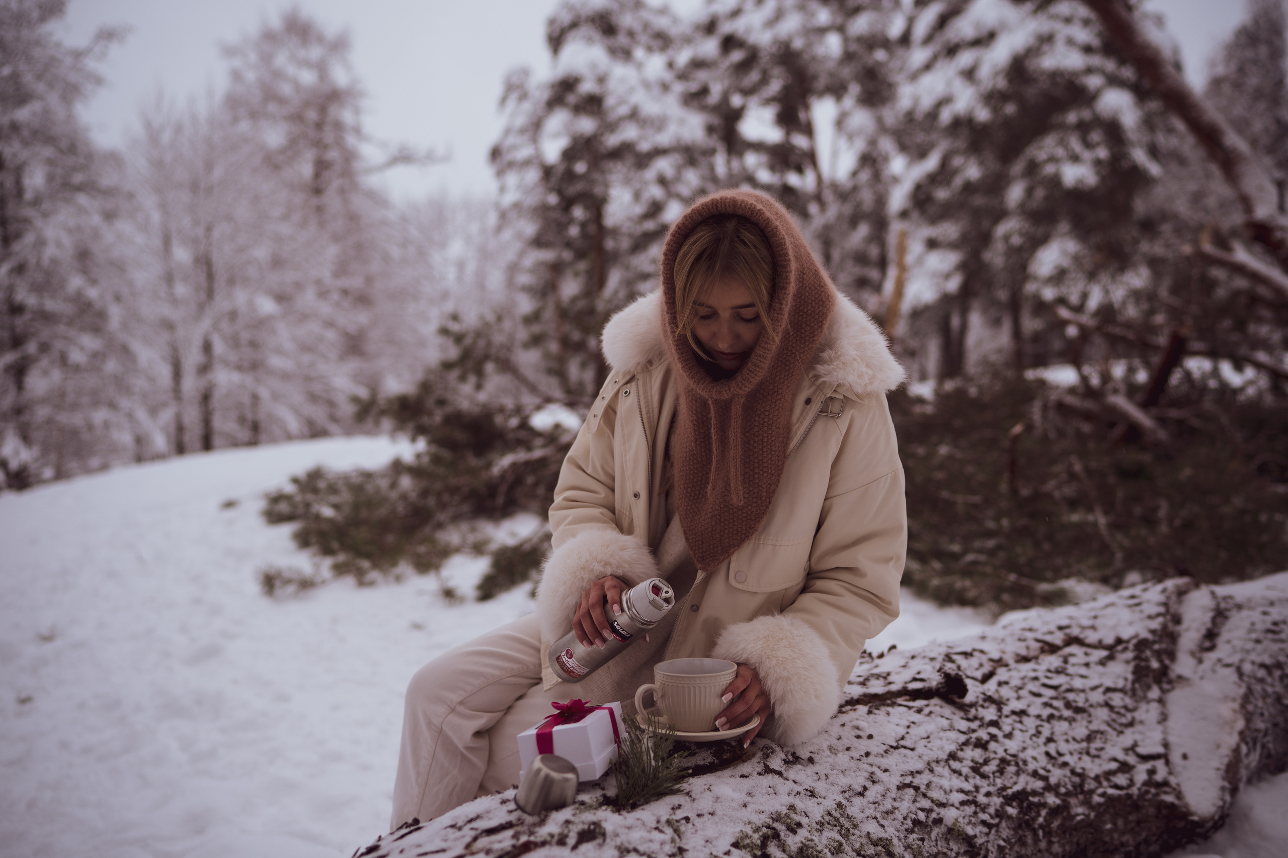 Декабрь снежный. Искренний фотограф