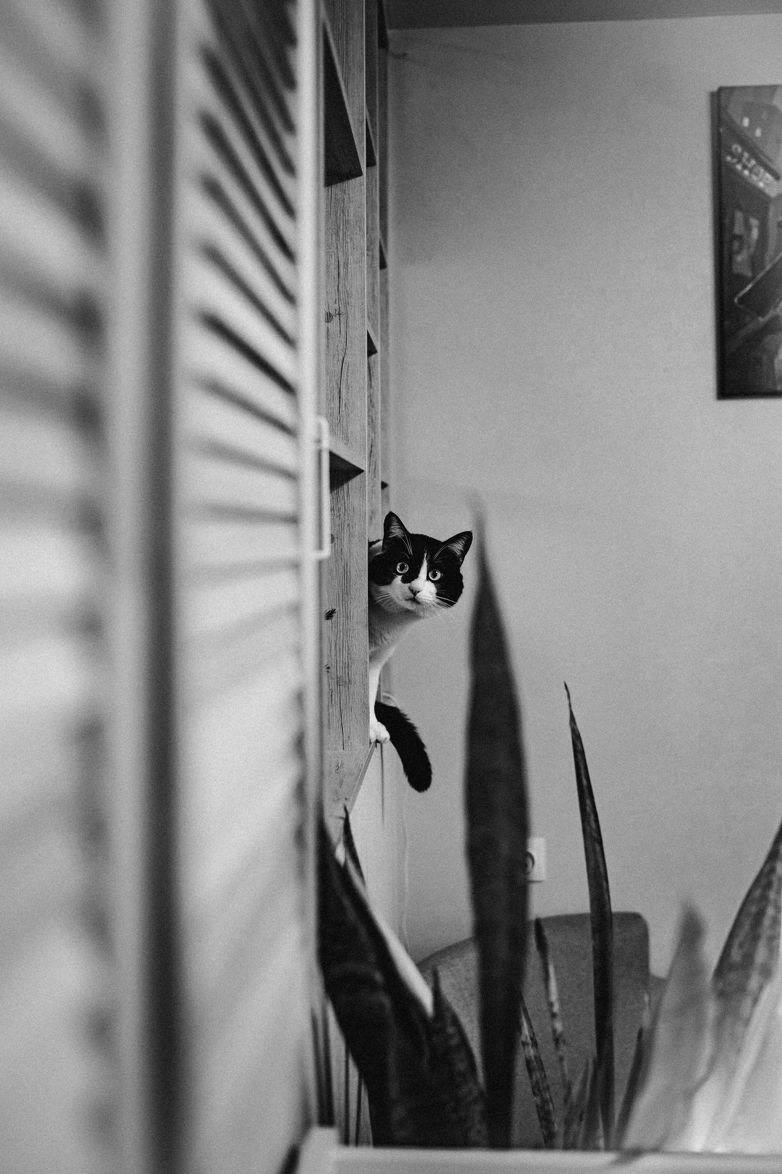 Вероника и Антон в приближении Нового года и самого важного события. Искренний фотограф