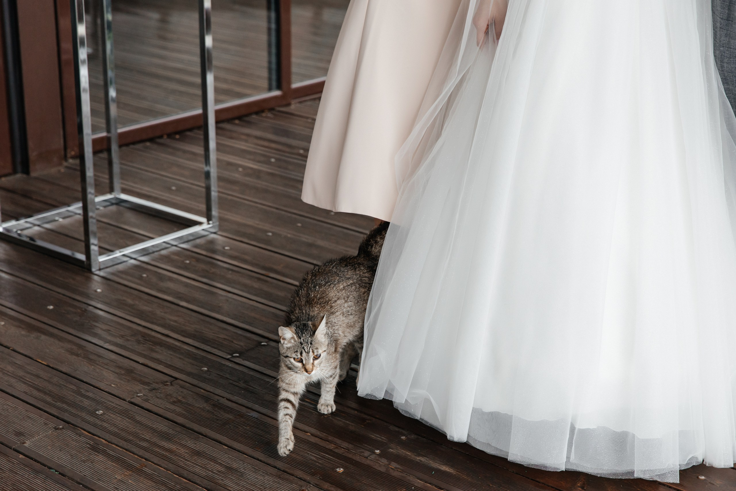 Дарья и Никита. Свадебный и семейный фотограф Егорова Юлия