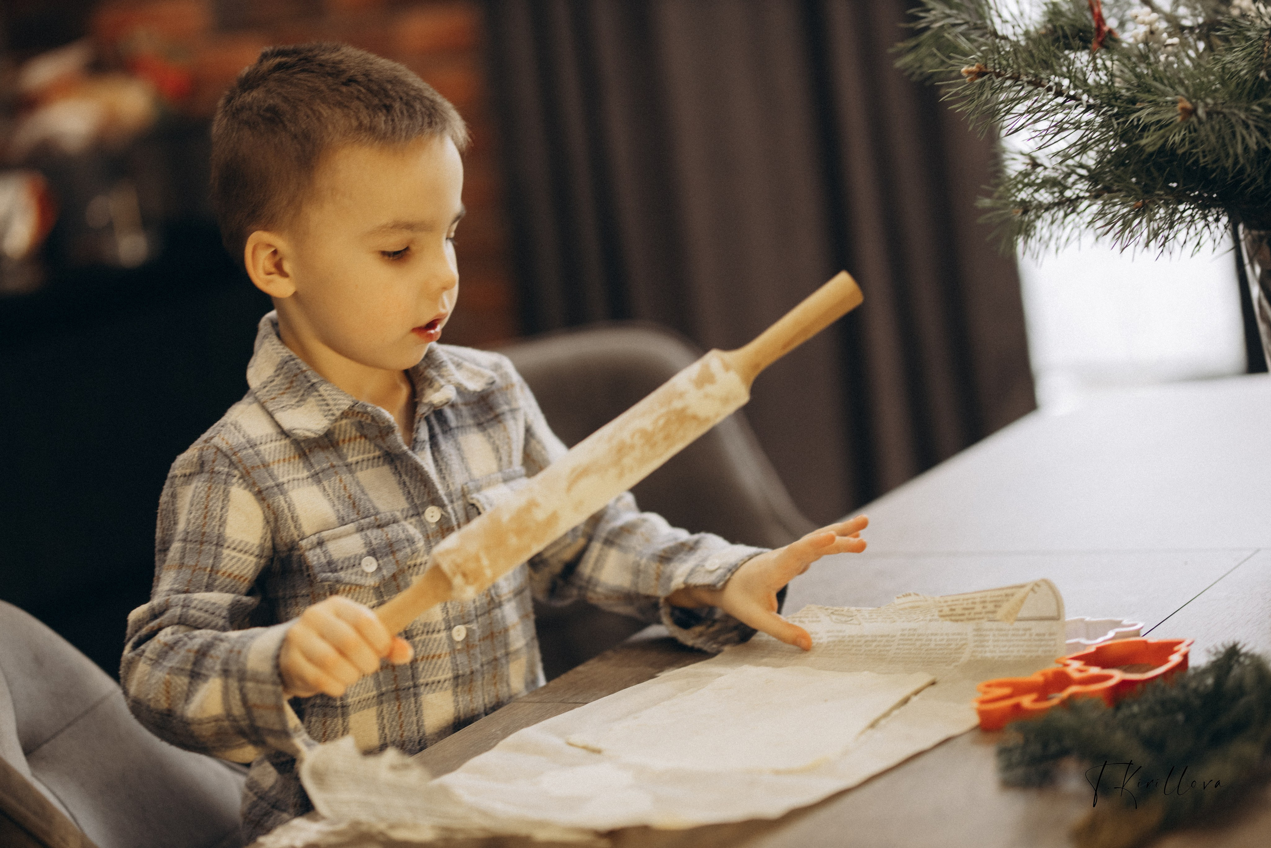 Новогоднее утро. Фотограф-анималист в Москве Кириллова Татьяна