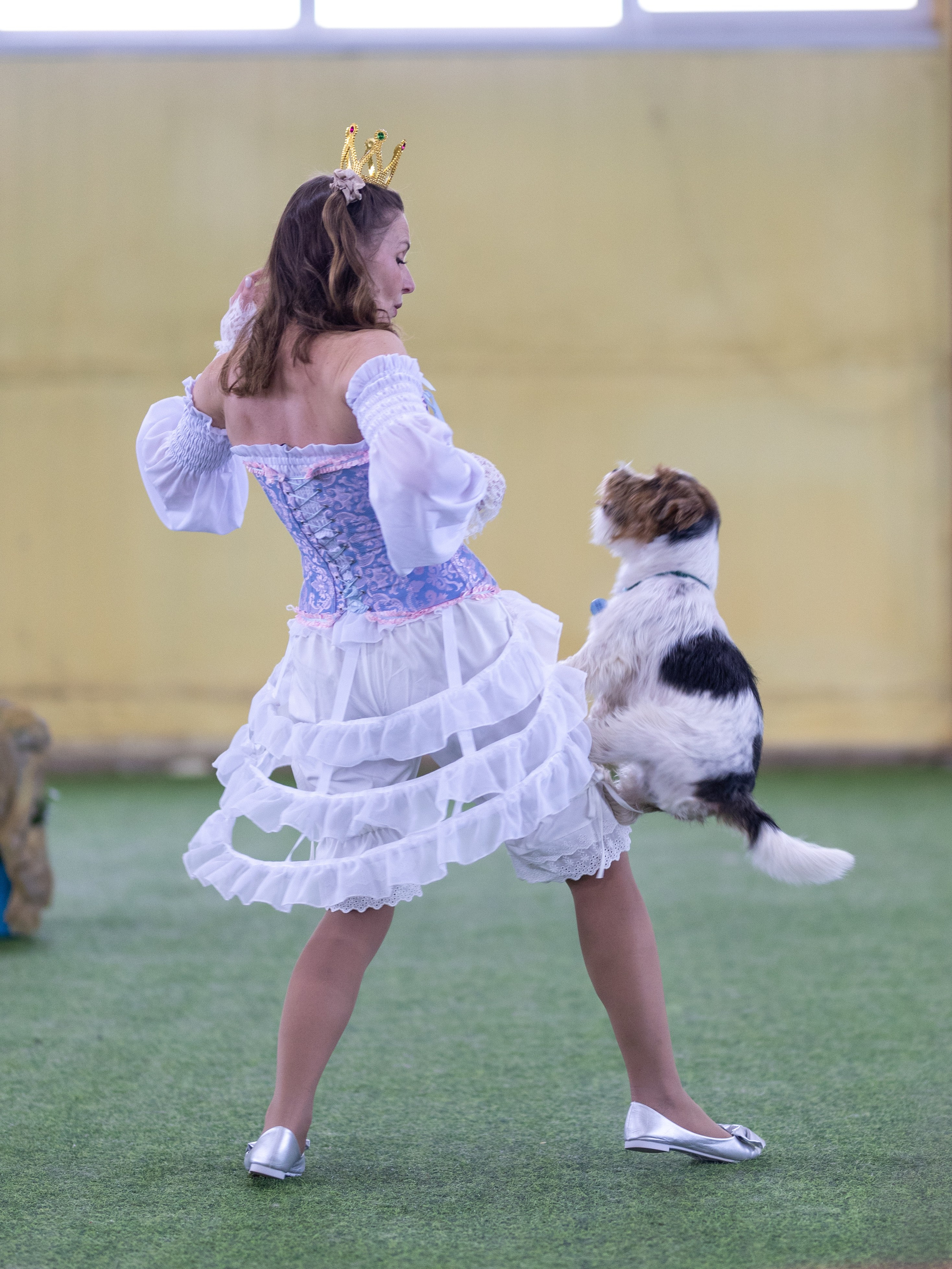 Соревнования танцы. Фотограф-анималист в Москве Кириллова Татьяна