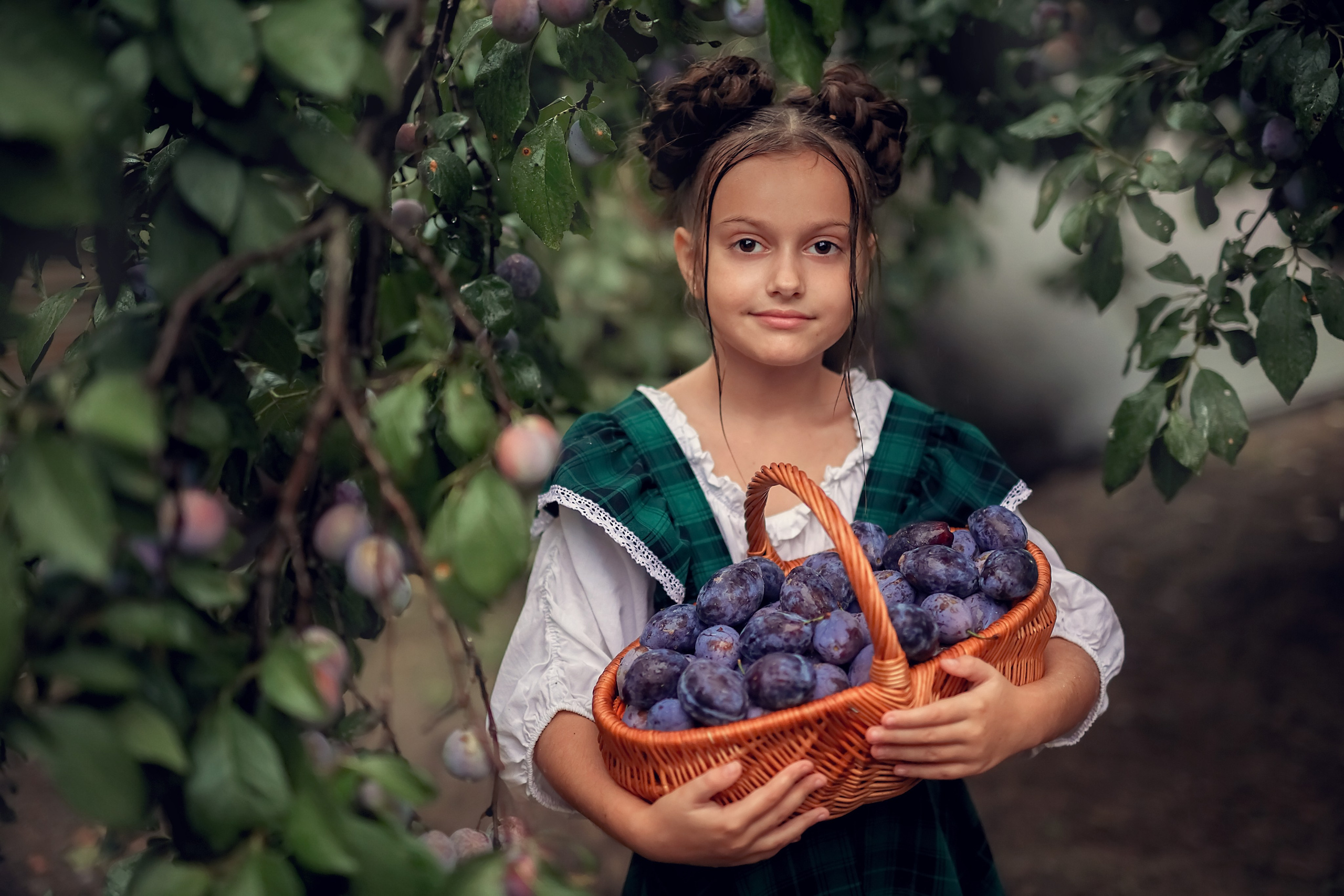 Сливовая история. Семейный и детский фотограф Екатерина Савёлова