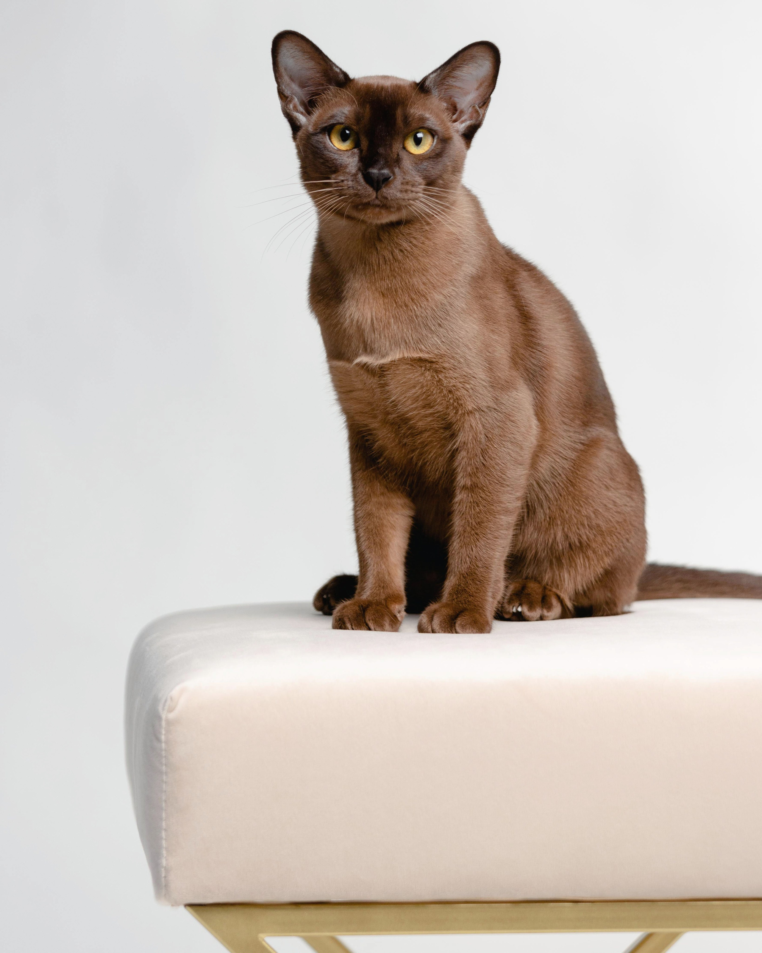 Фотосъемка мебели для Ozon в Смоленске. Фотограф | Михаил Буш Смоленск