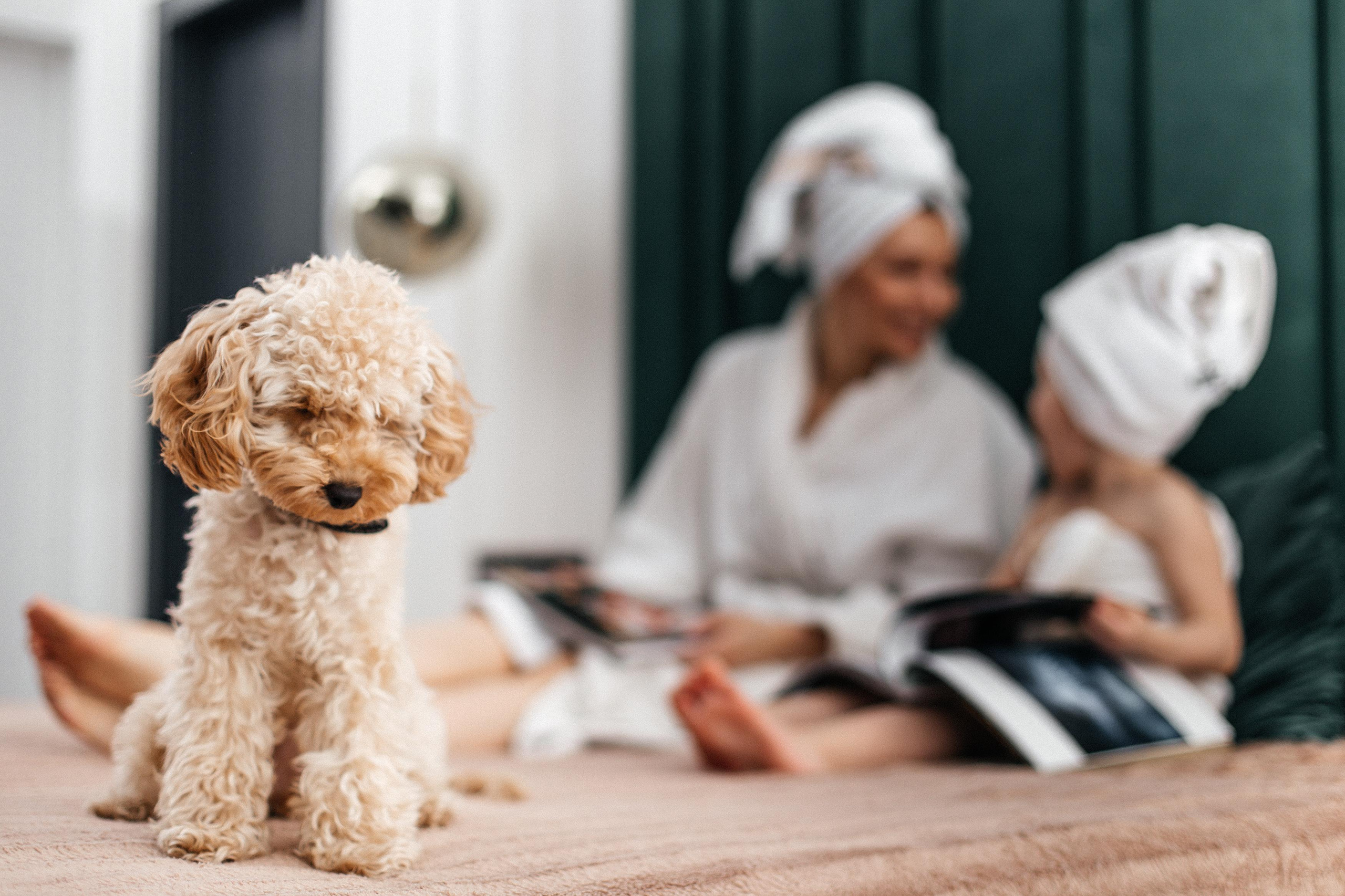 Семейные истории. Свадебный и семейный фотограф в Омске Евгения Хакимова