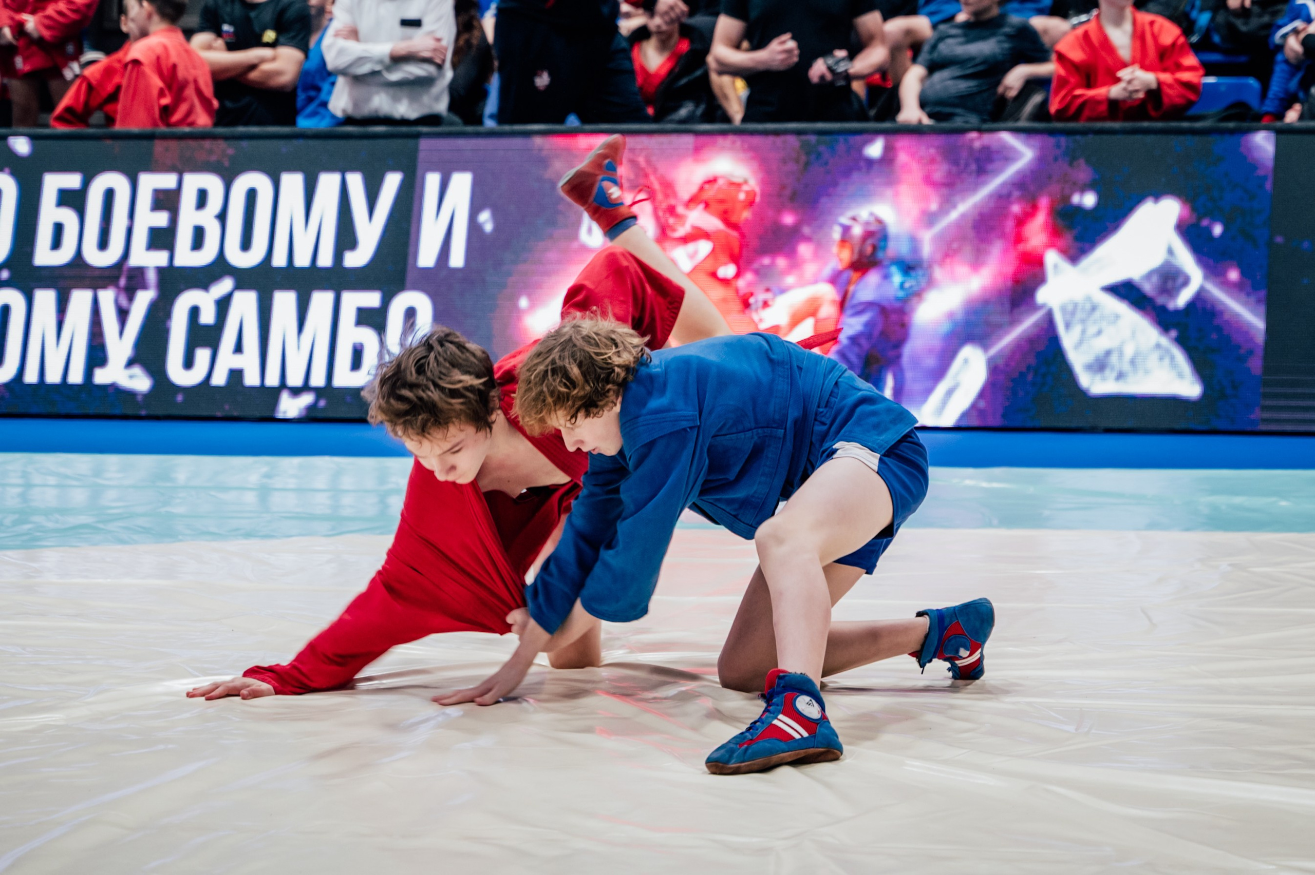 Турнир по самбо ЮФО