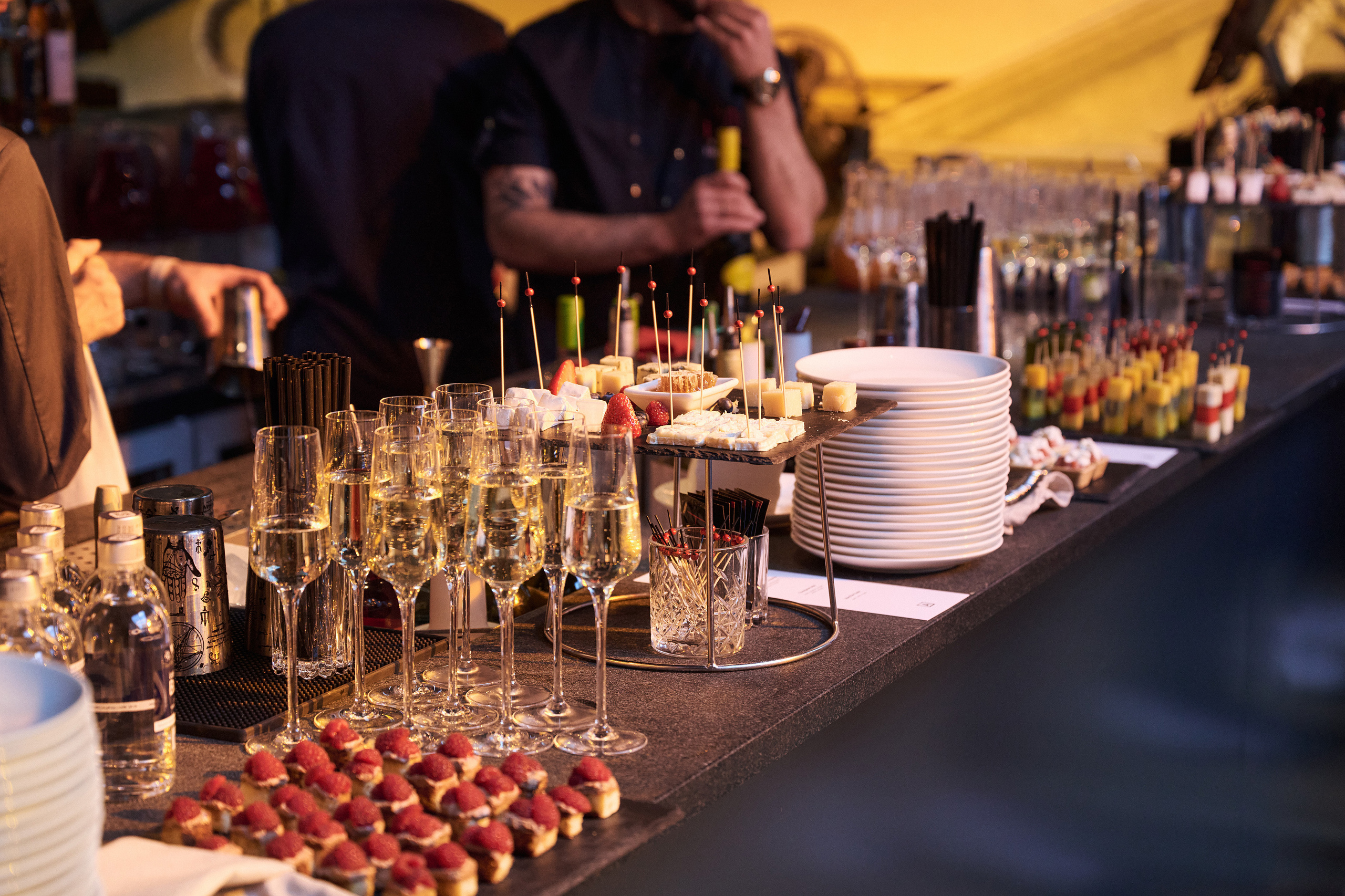 VARD Launch Event. Фотограф Сергей Бойко Москва