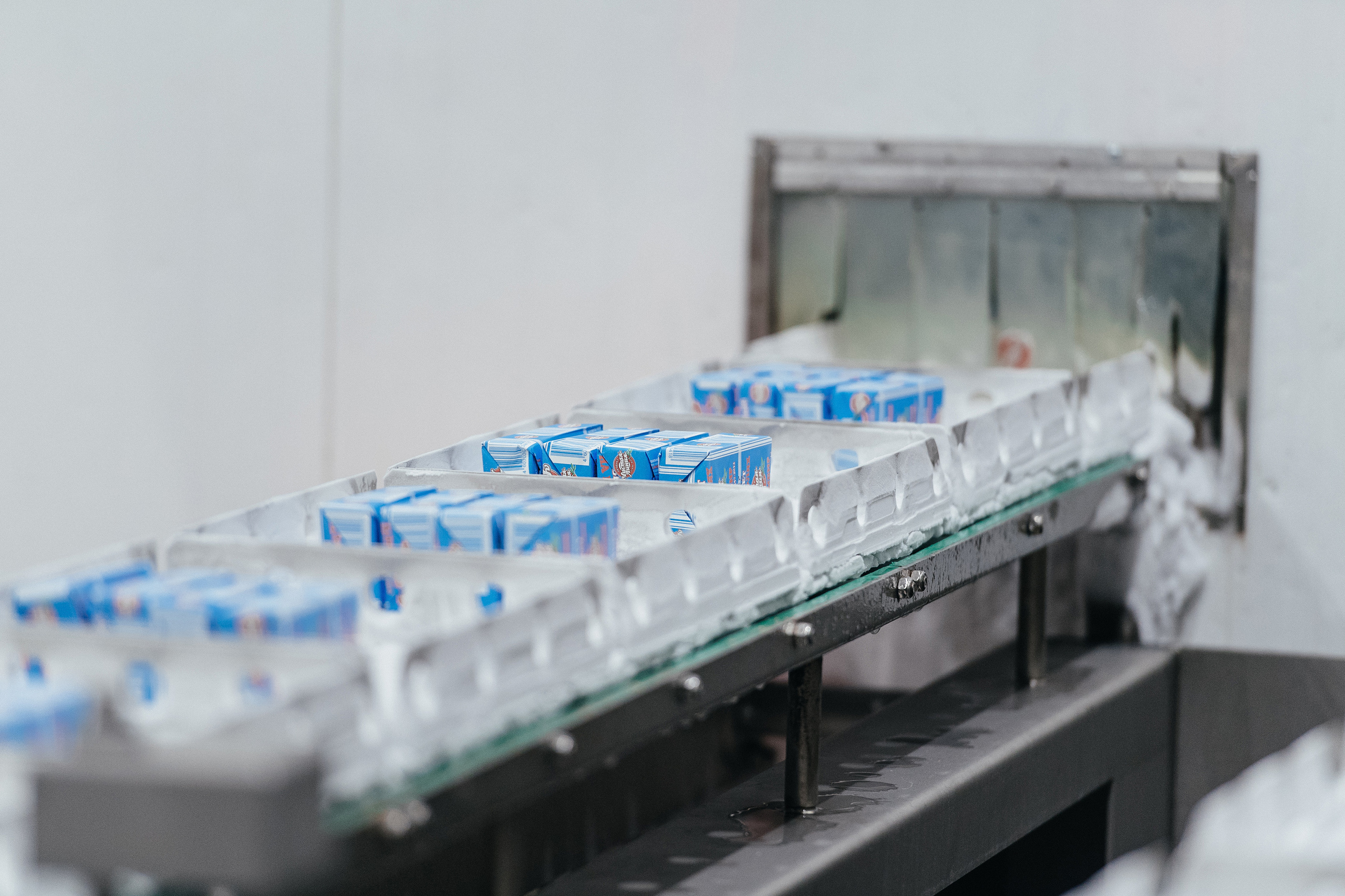 Экскурсия на заводе «Чистая Линия». Фотограф Сергей Бойко Москва