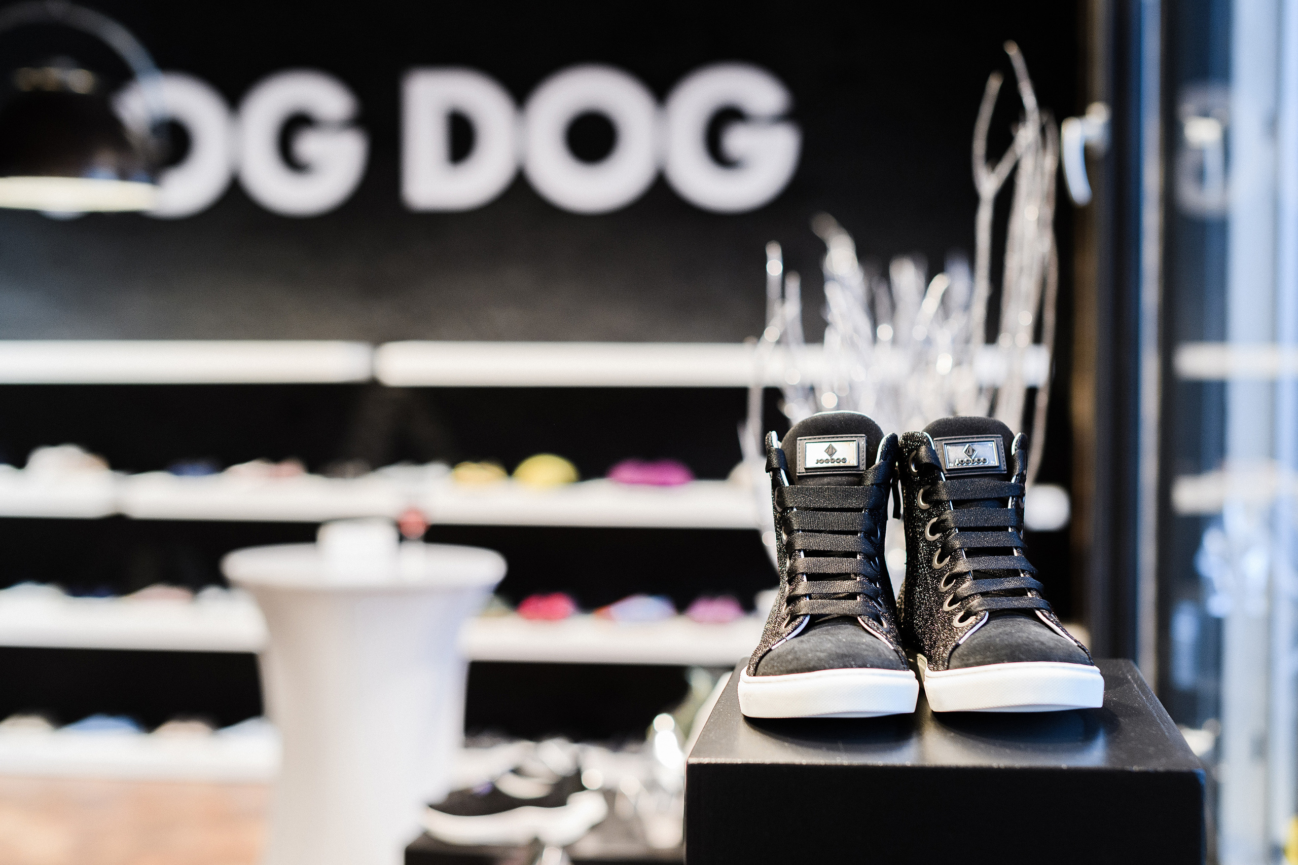 Jog Dog Press Day. Фотограф Сергей Бойко Москва