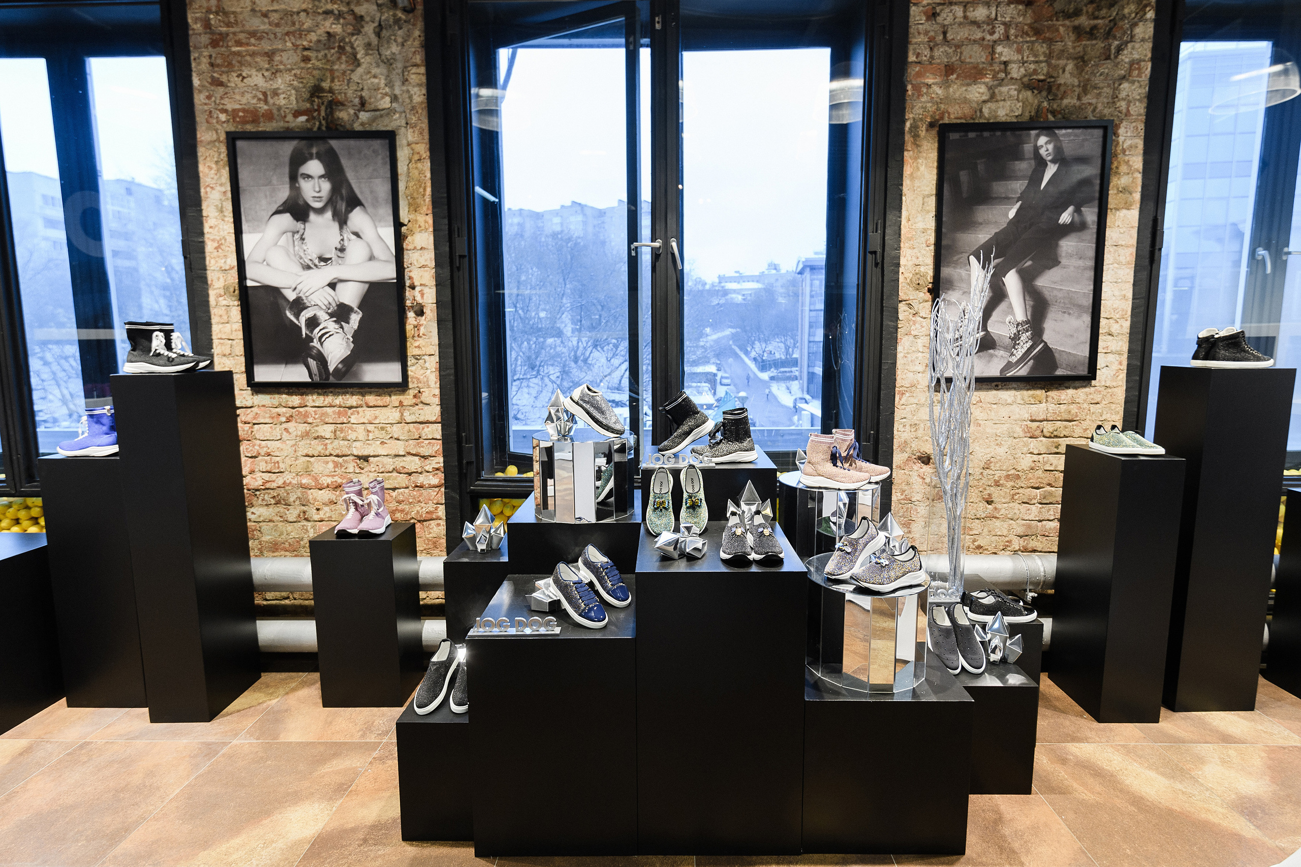 Jog Dog Press Day. Фотограф Сергей Бойко Москва