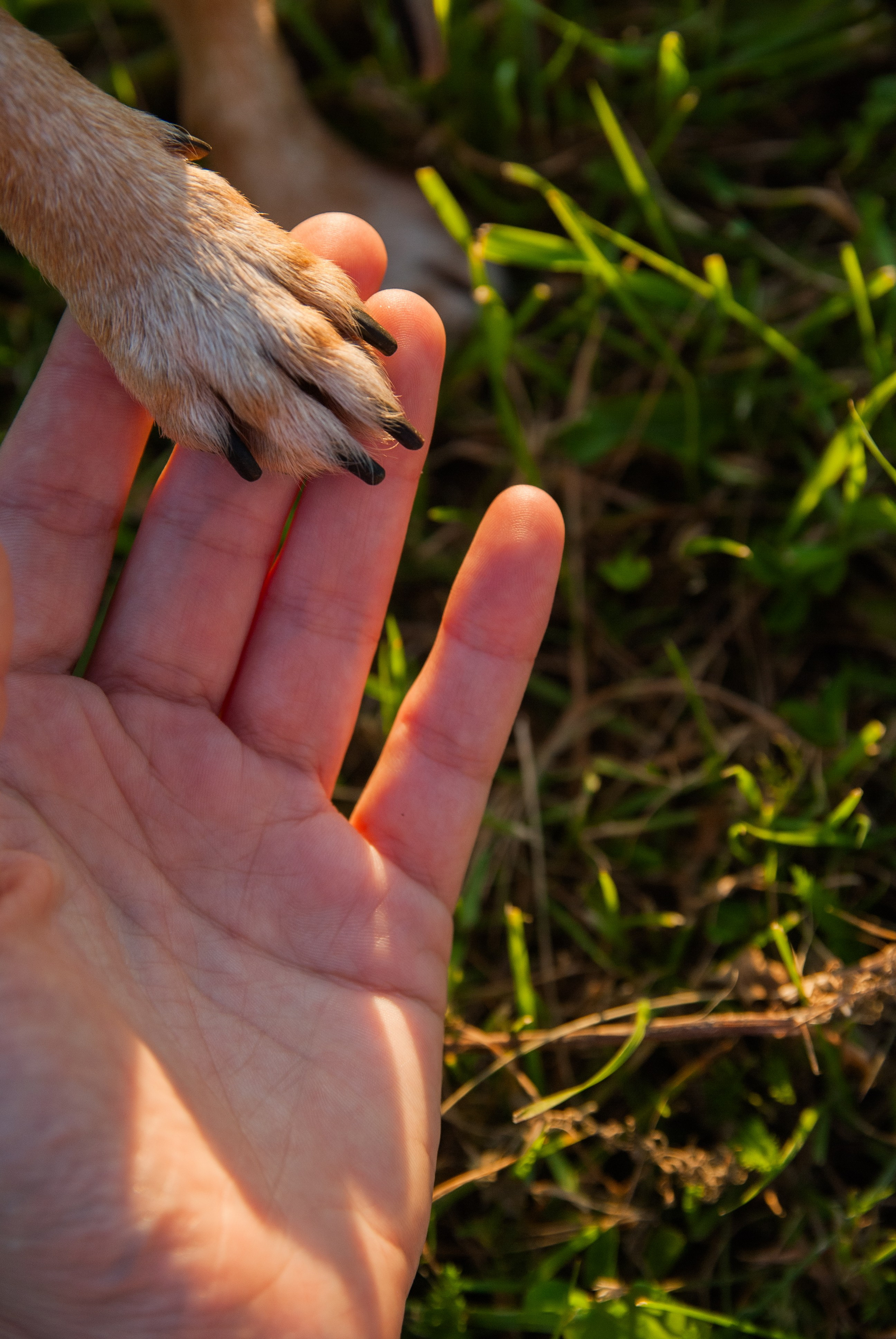 Зоопарк в моём багаже. Кошенкова Мария: портретный и репортажный фотограф. Санкт-Петербург