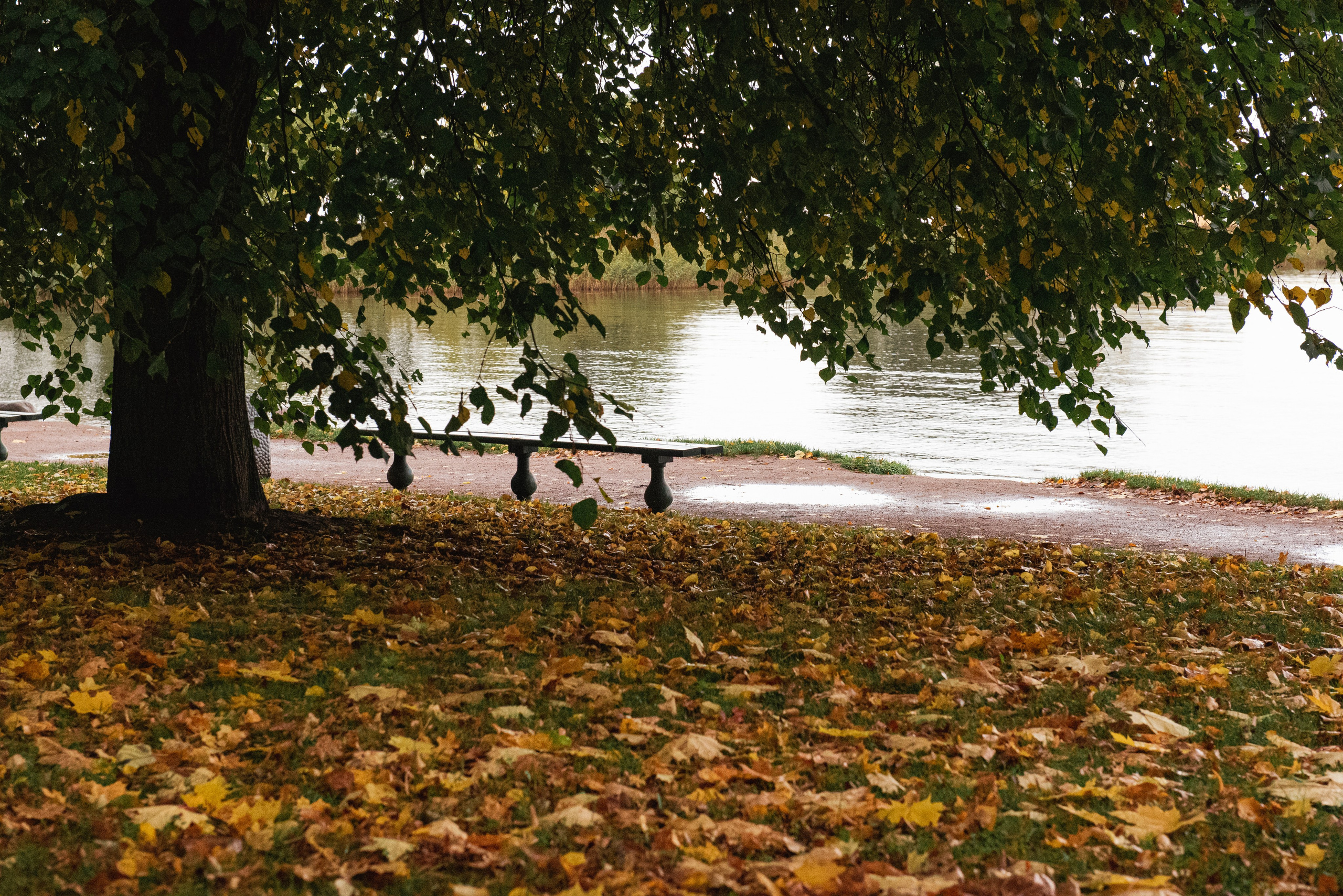 Петергоф. Портретный и архитектурный фотограф в Москве и Санкт-Петербурге