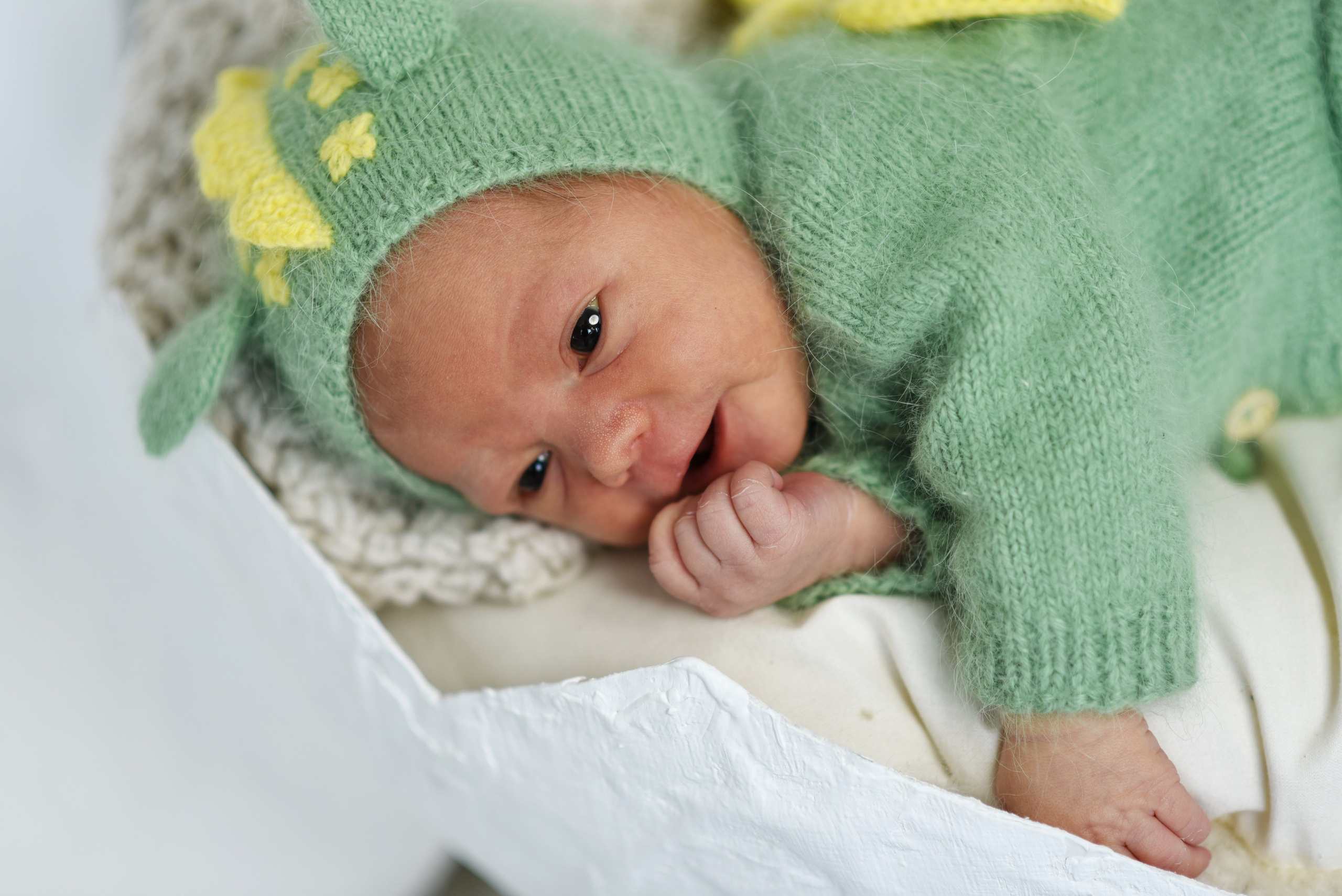 Артем-динозаврик. Семейный, детский и школьный фотограф в Димитровграде Наумова Екатерина