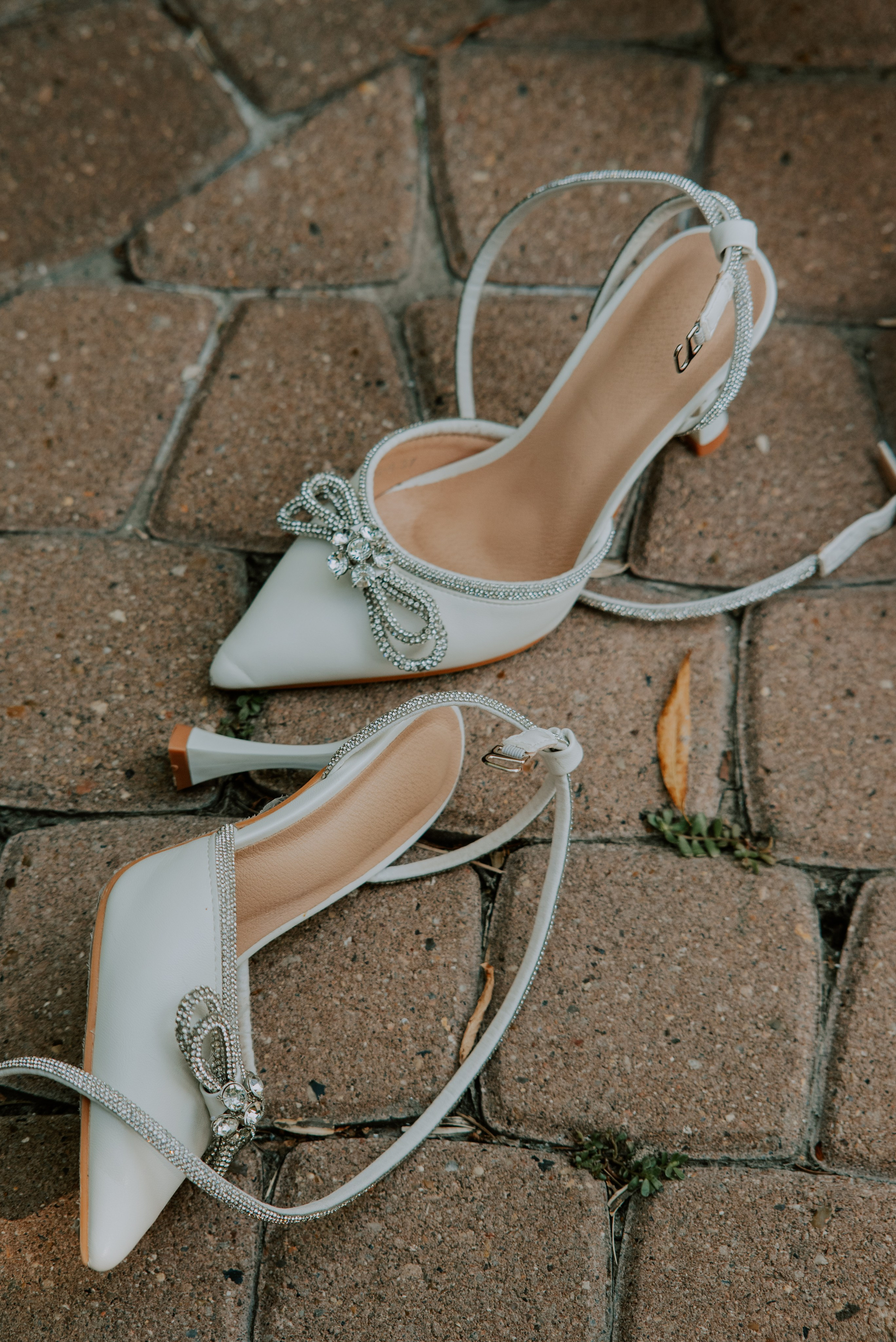 Ангелина+Захар. Кожухова Виктория свадебный и семейный фотограф