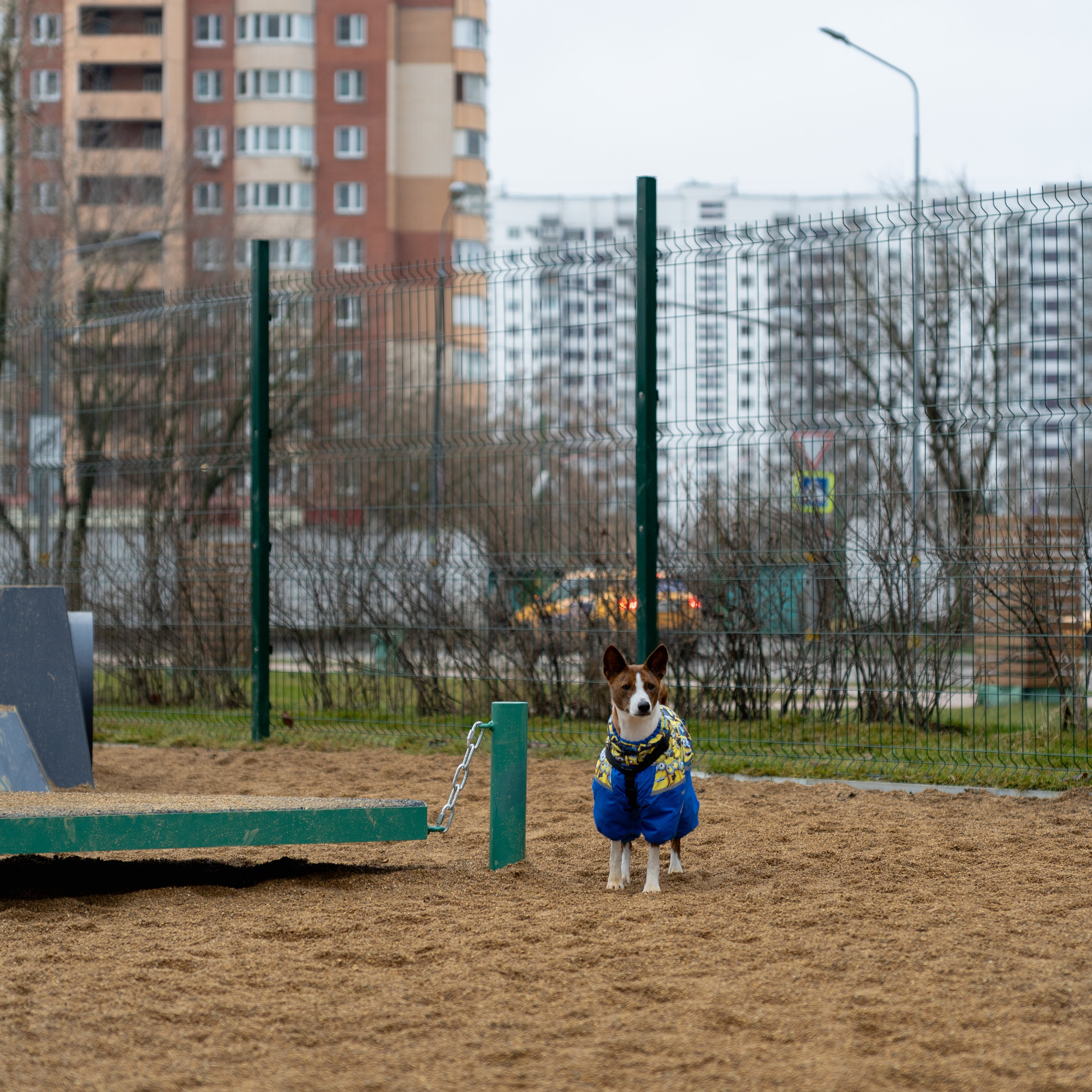 Площалка. Фотограф в Москве Лера Голубенко