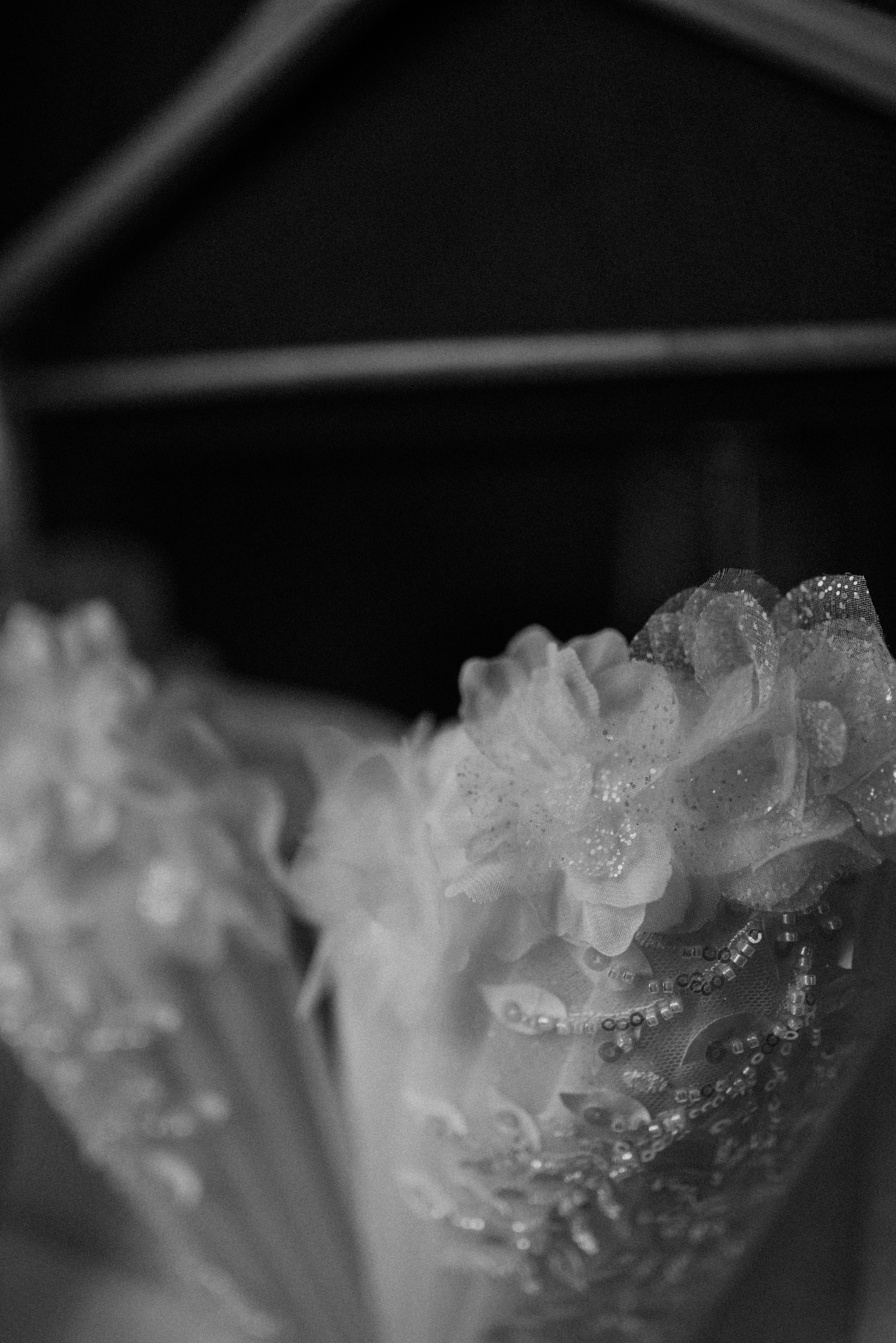 Фотограф Анна Абрикосова