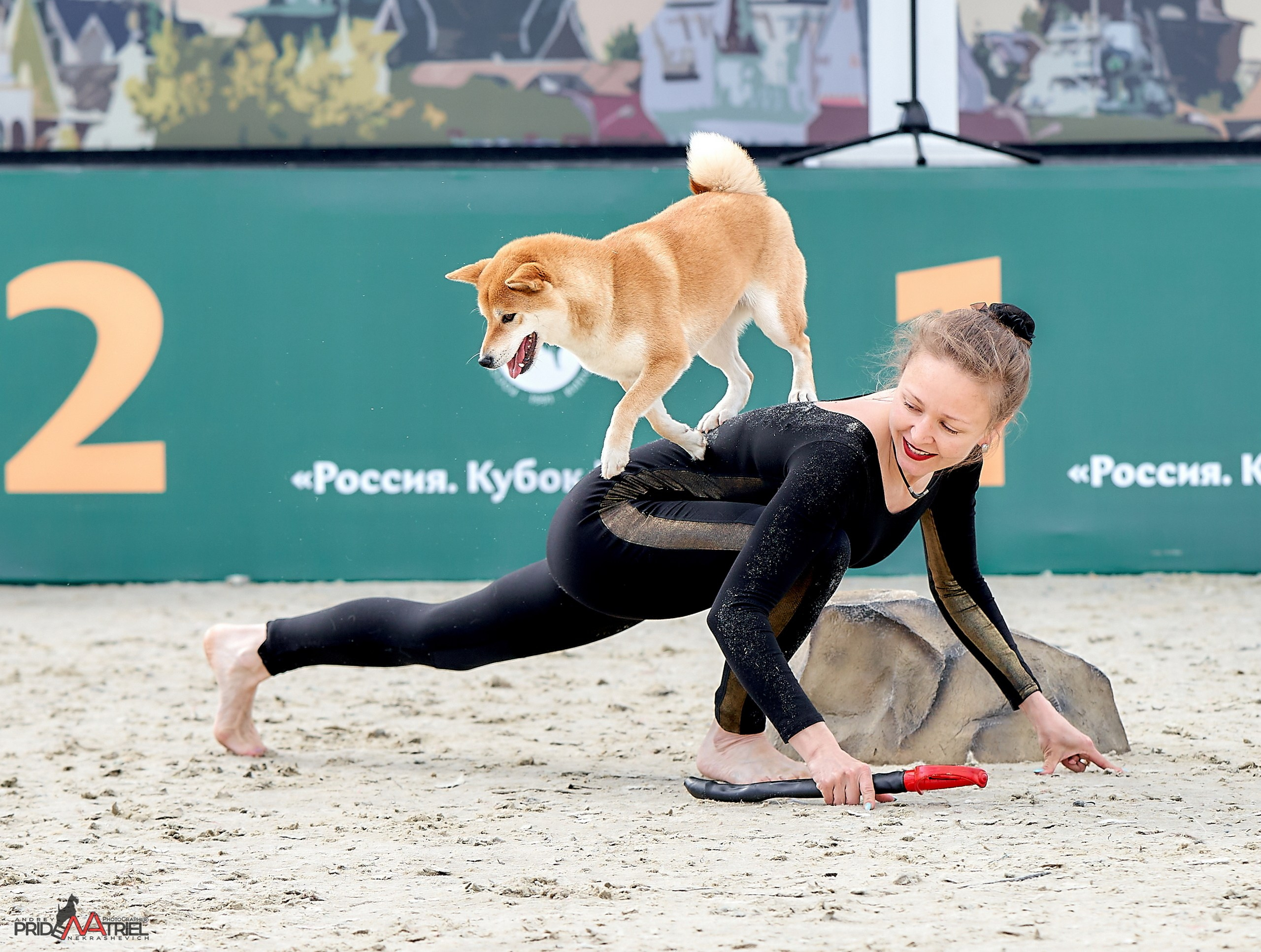 Обидиенс и танцы с собаками — галерея NATRIEL