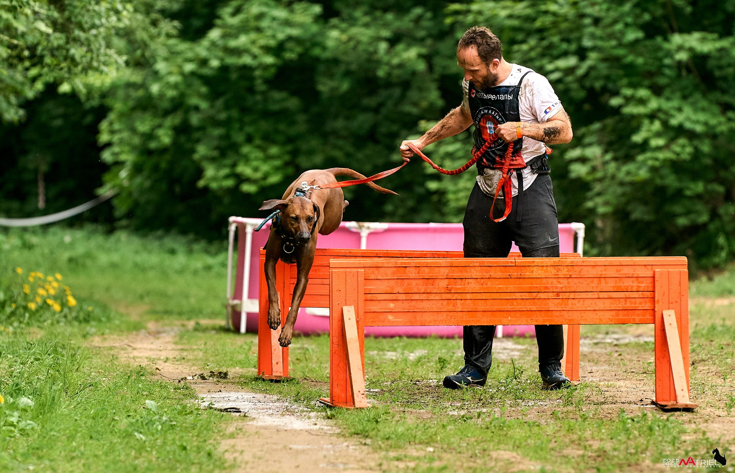 Russian Extreme Dog Trail — 2025