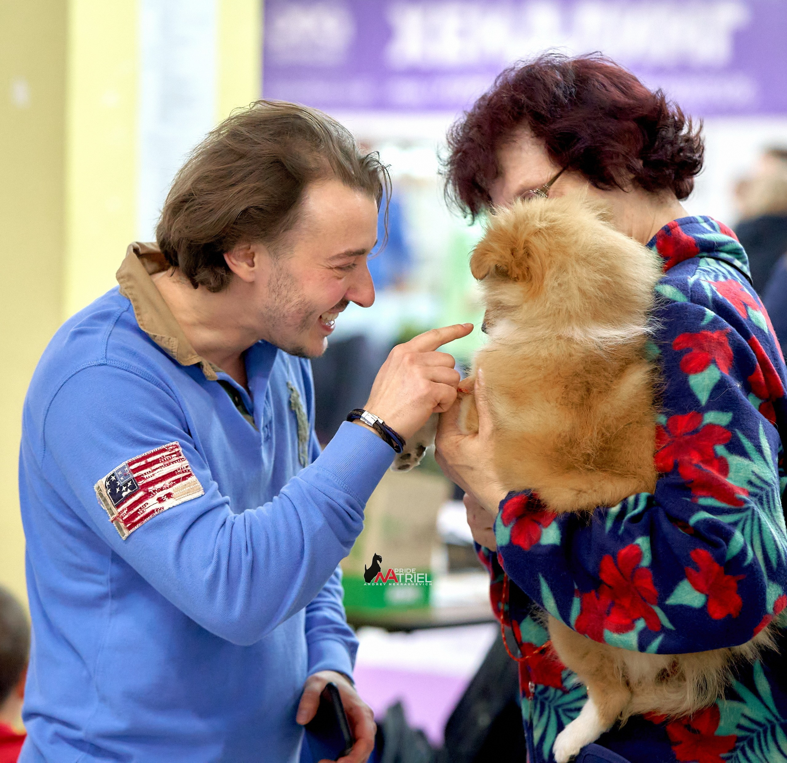 Собаки и Люди — галерея NATRIEL