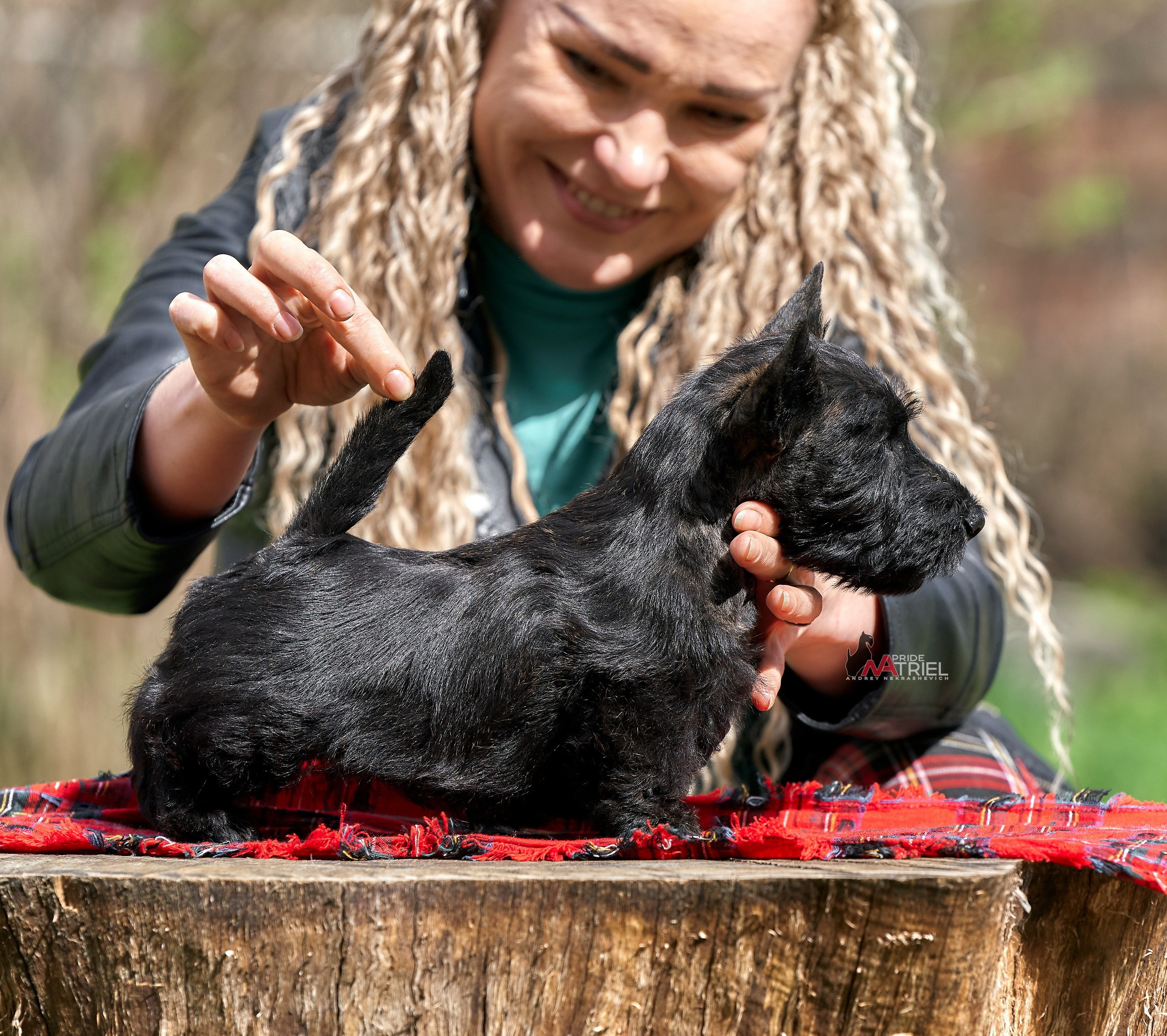 Щенки с людьми — галерея NATRIEL