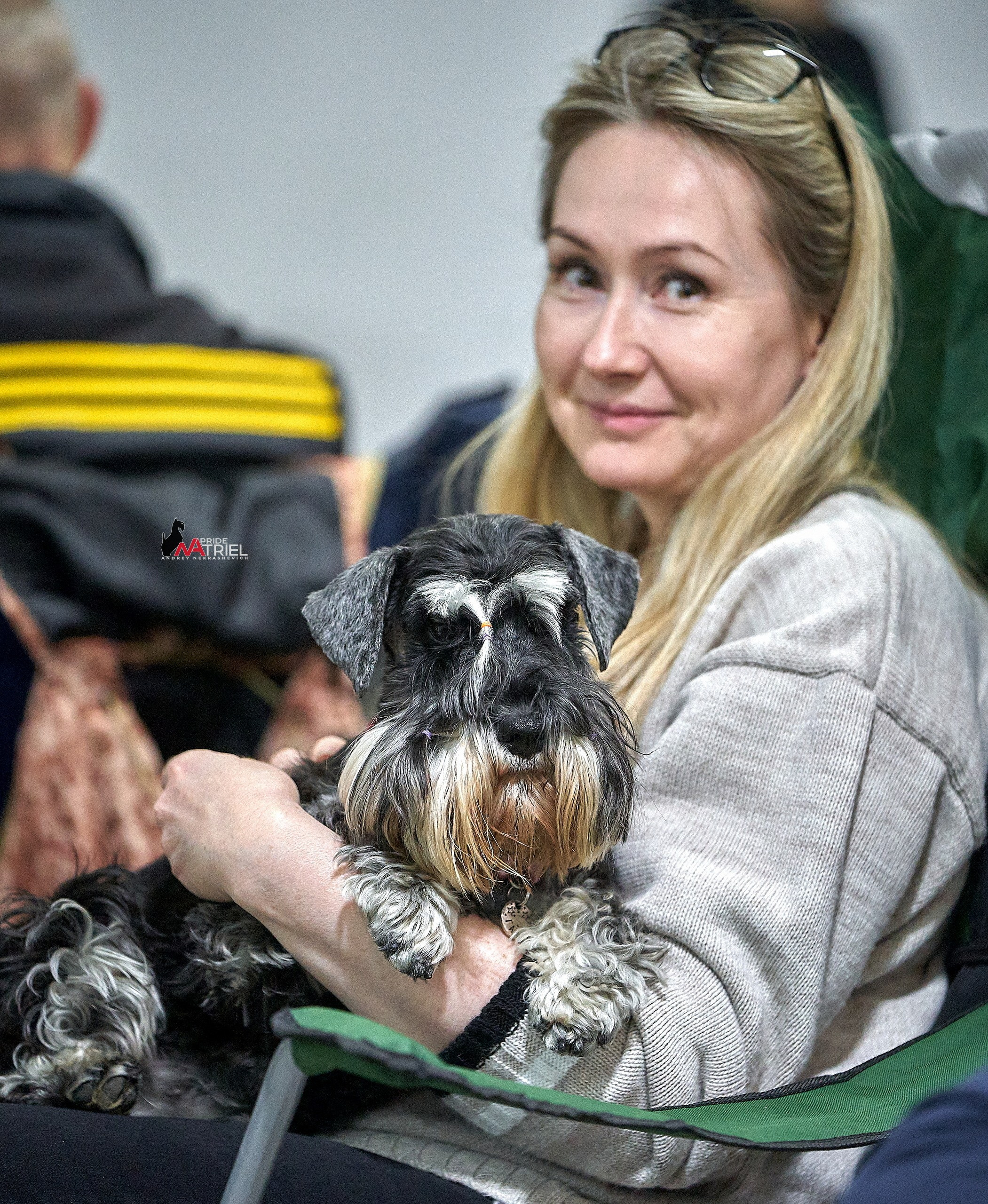 Собаки и Люди — галерея NATRIEL