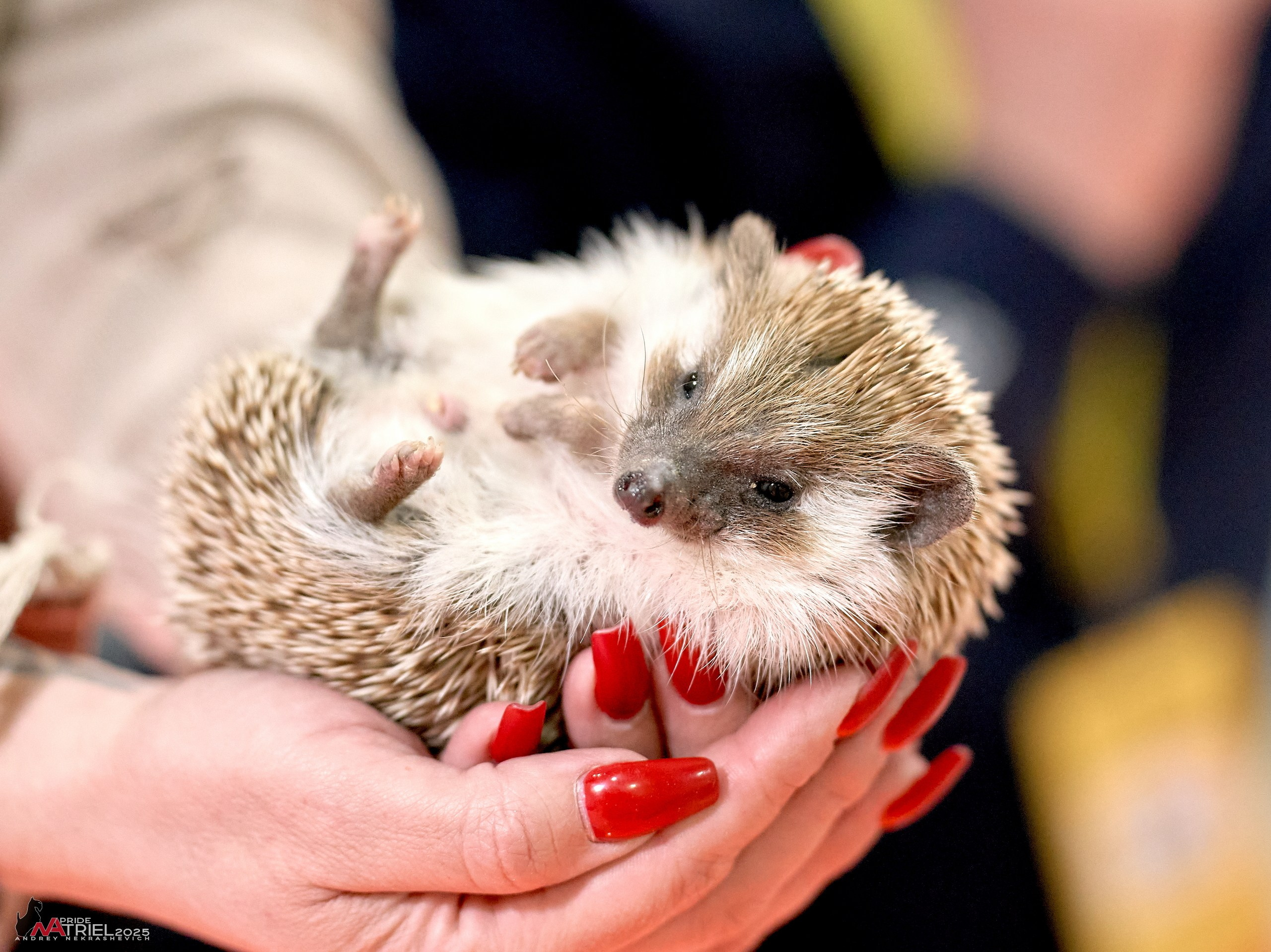 Репортаж с ЗООФЕСТ в Крокусе