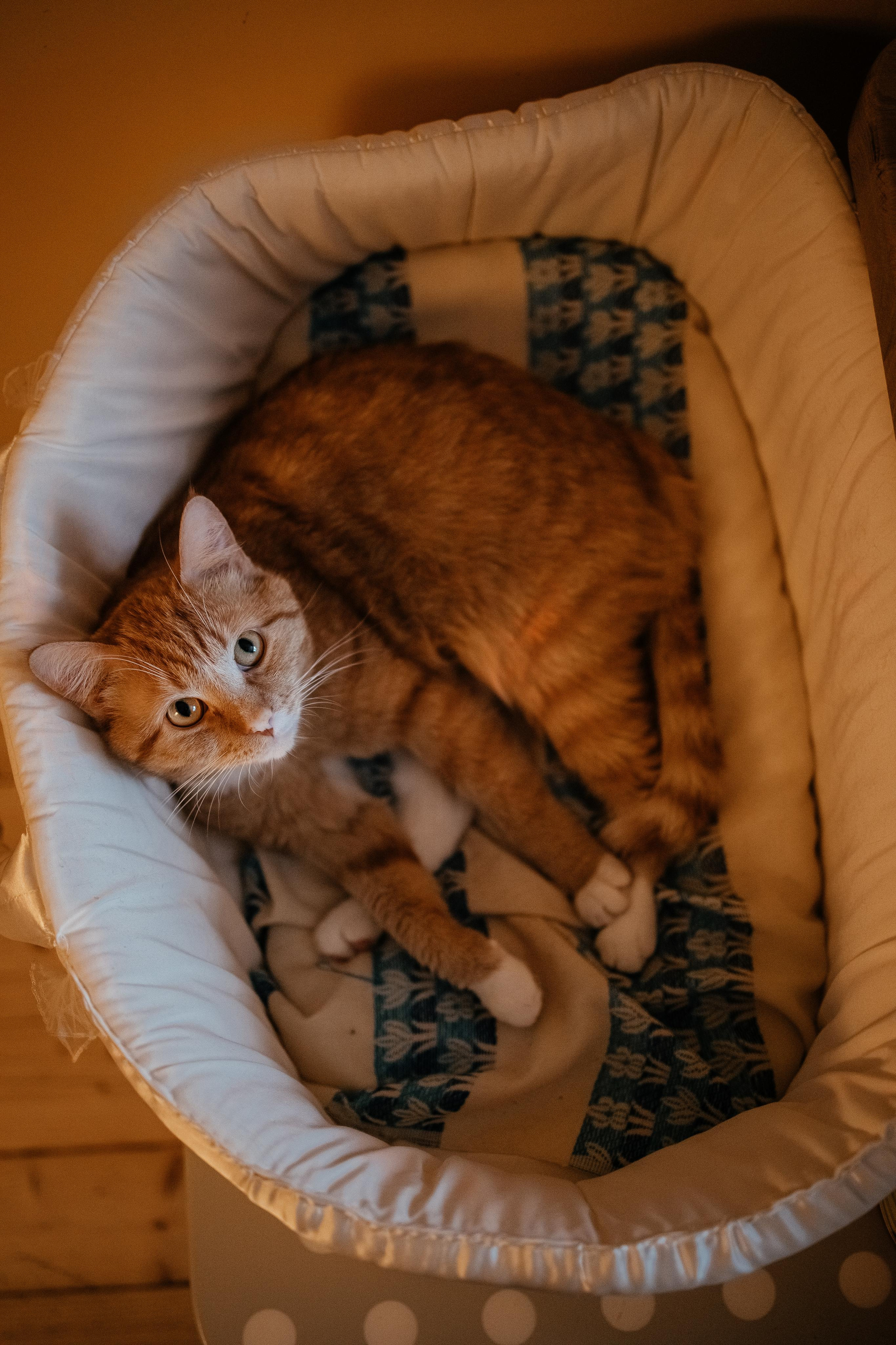 Карина, Ваня и Варя. Lifestyle фотограф в Санкт-Петербурге Анна Щекалева