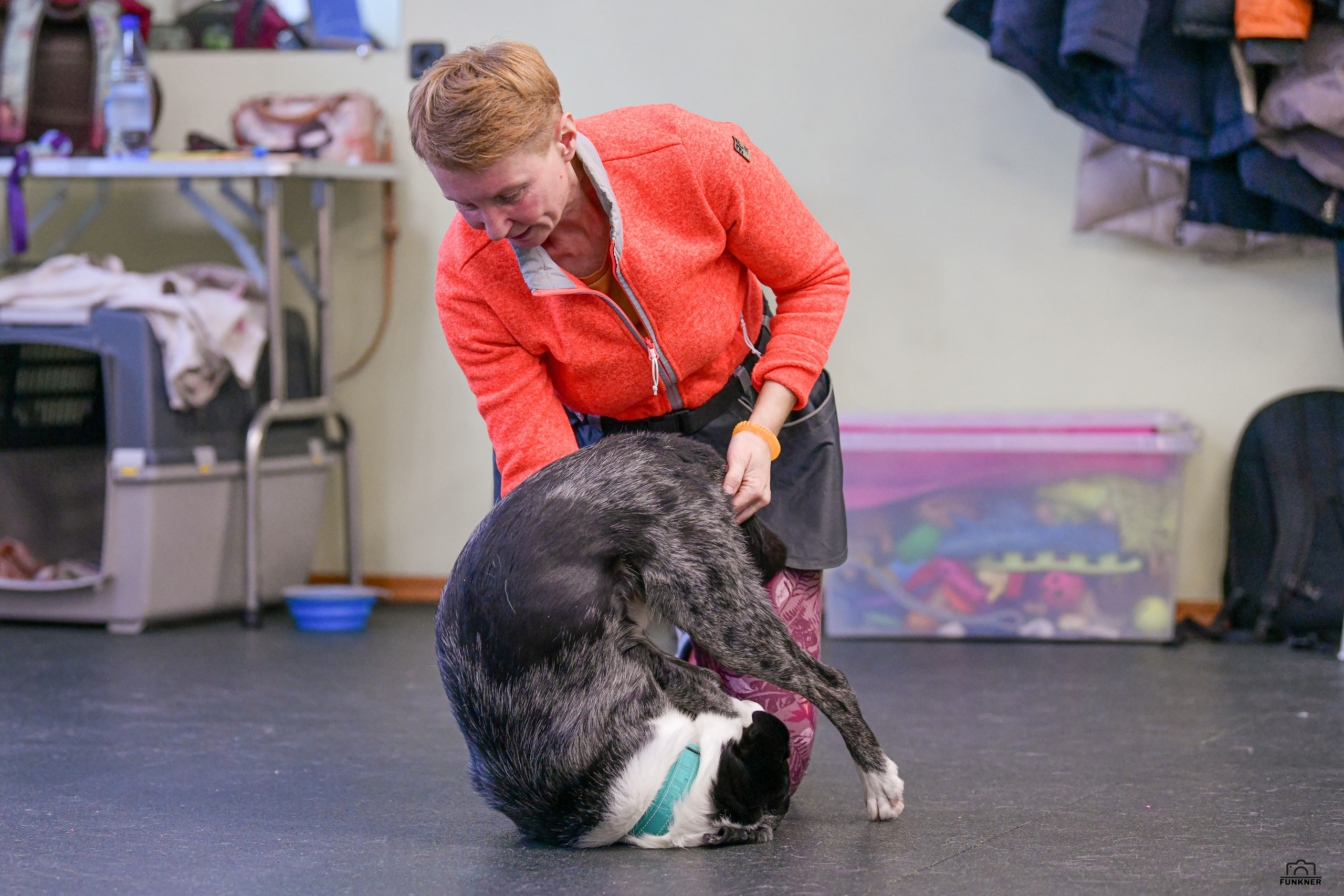 Кинологический клуб «Бодрый хвост». Свой взгляд через объектив