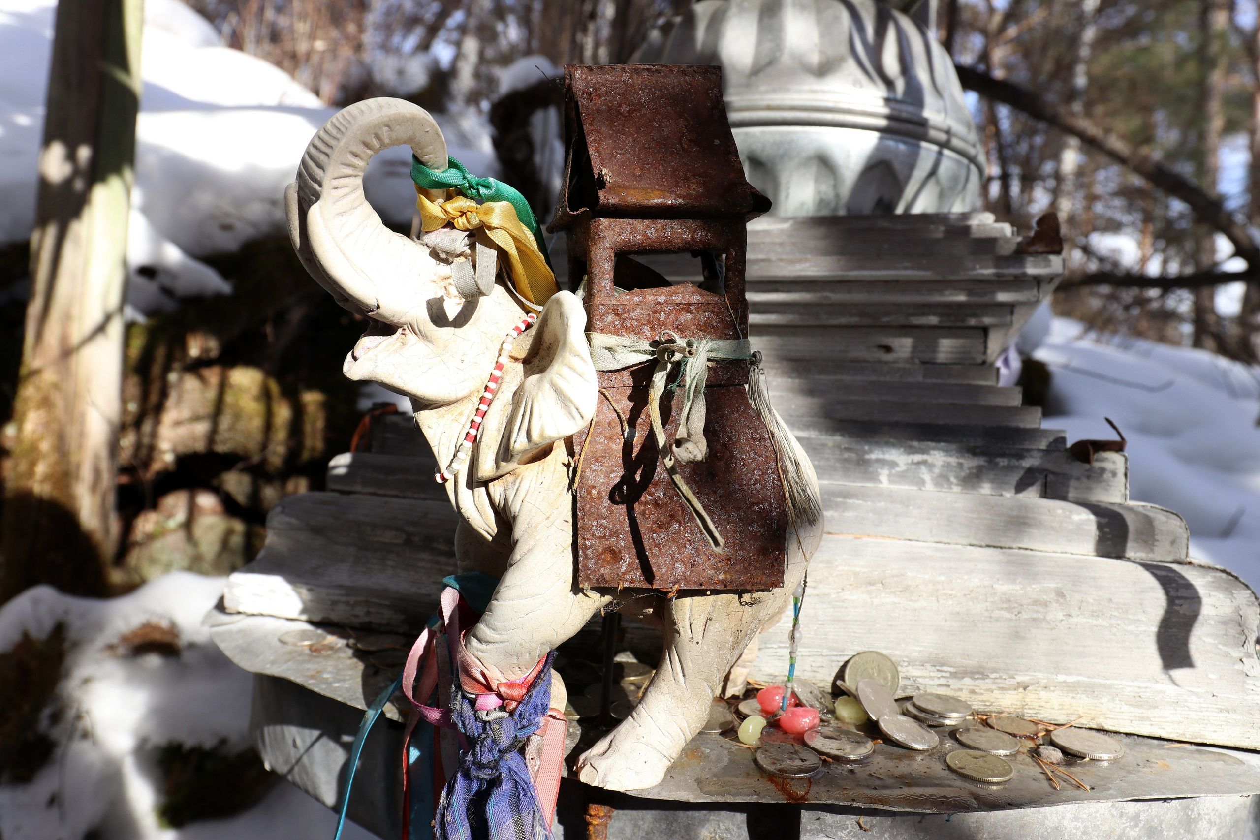 Аршан. Февраль 2025. Путешественник-фотограф из Санкт-Петербурга Татьяна Свистулина