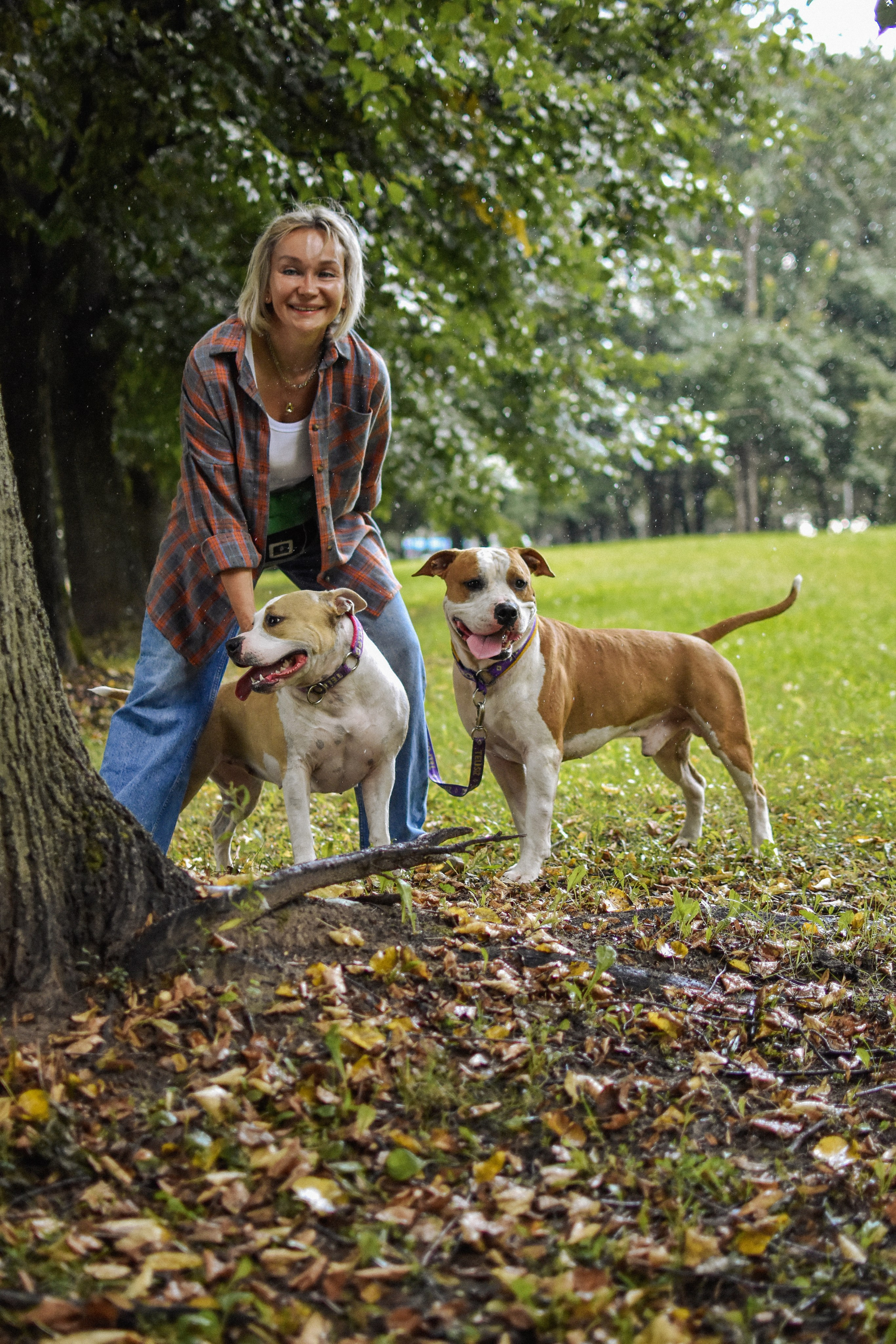 Стив, Стеша и Маша. Фотограф-анималист Ксения Шевцова|Москва
