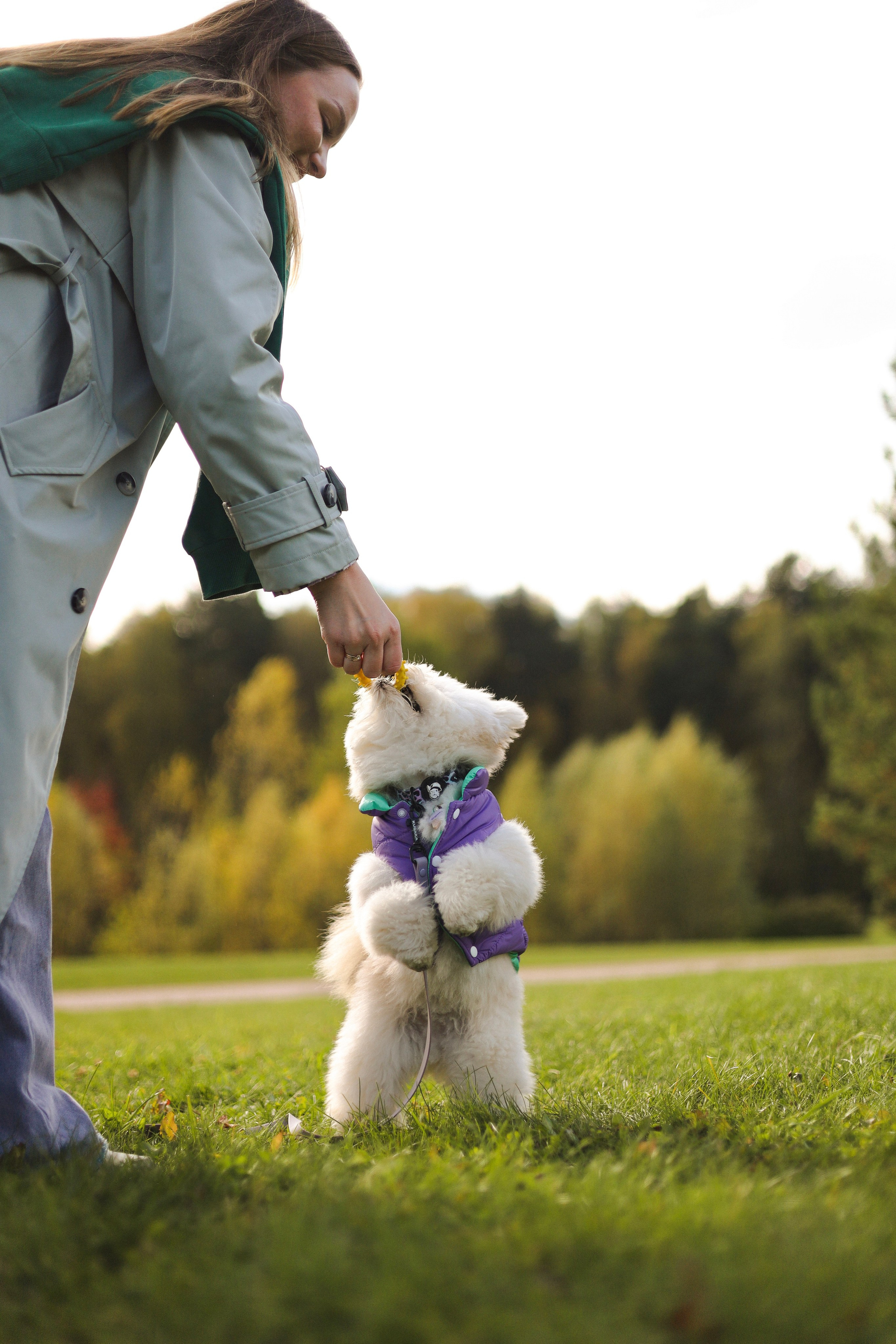 Купер и Надежда. Фотограф-анималист Ксения Шевцова|Москва