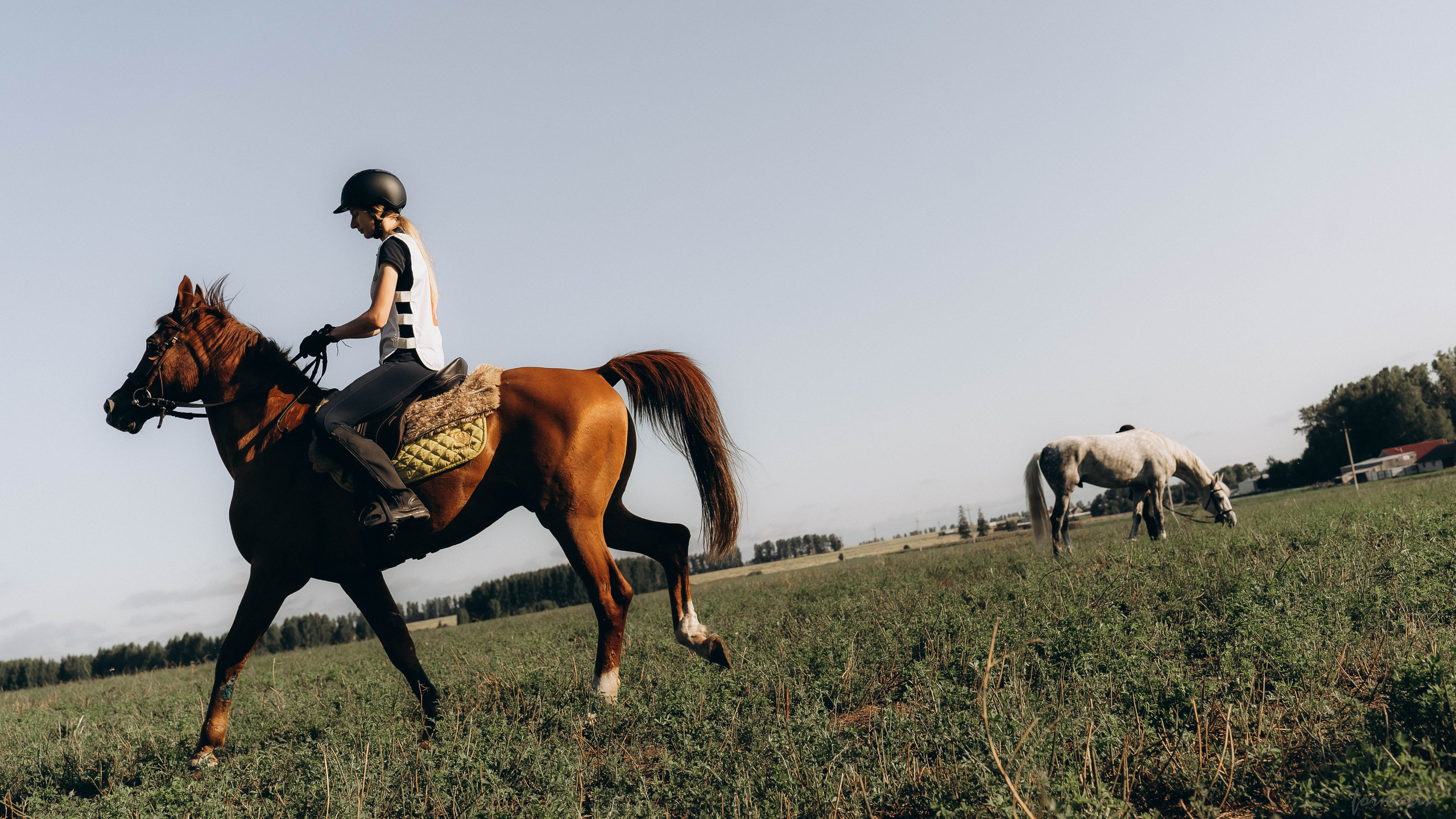 День Коня. Алиса Никитцова | Фотограф в Казани