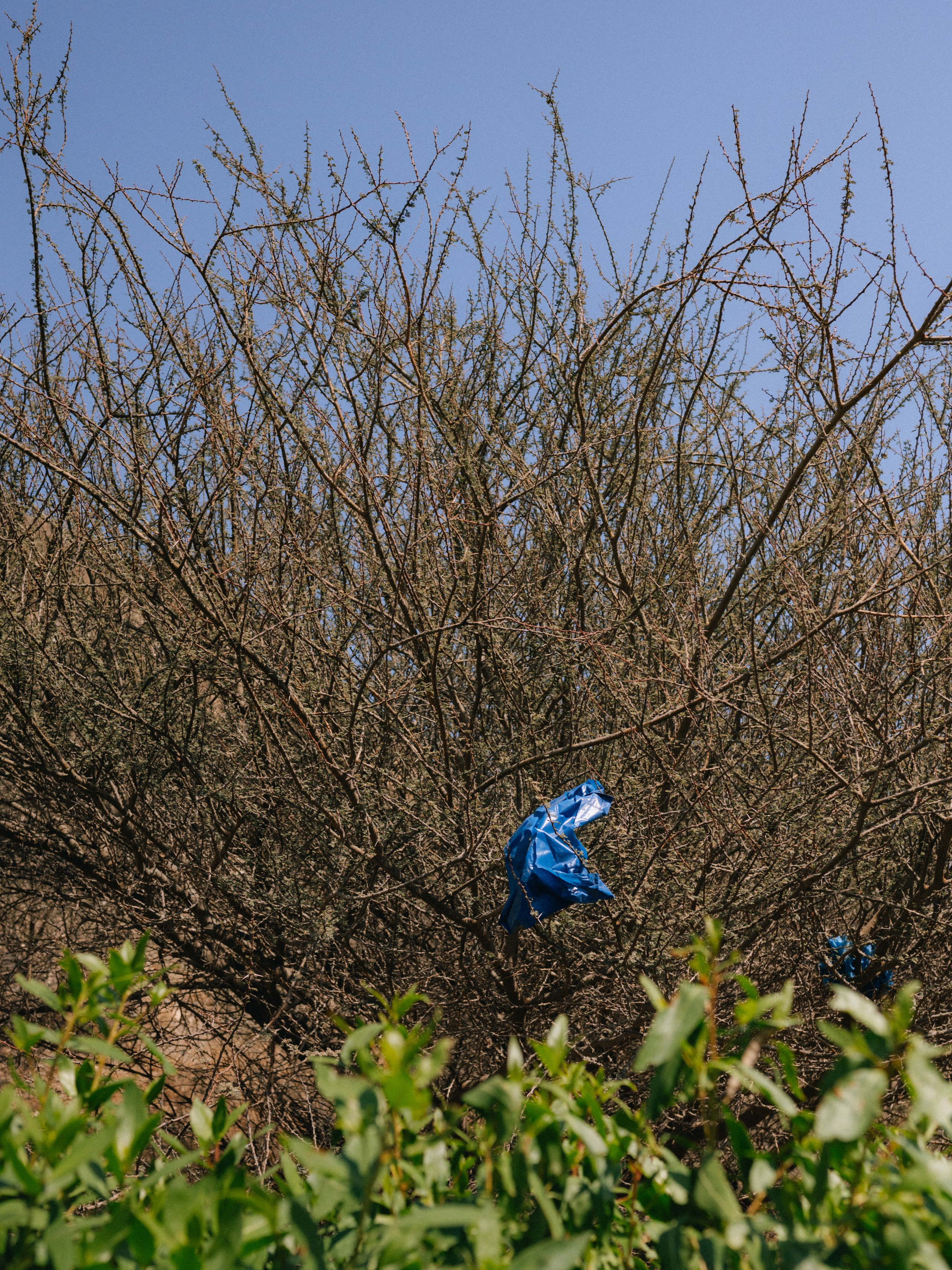 FUJEIRAH. Свадебный и семейный фотограф Никита Корохов