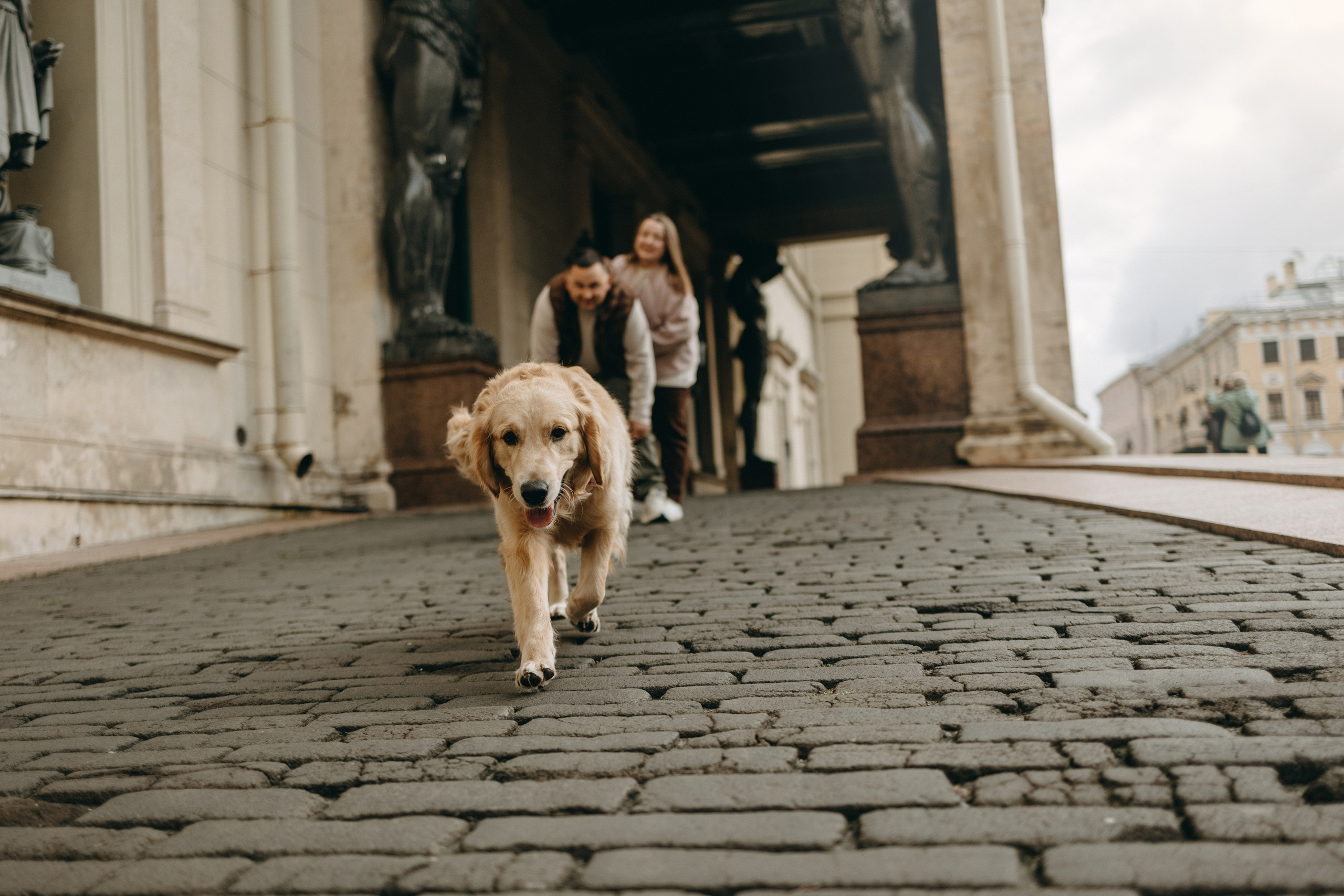 Бетти и ее семья. Фотограф — Анималист | Санкт-Петербург