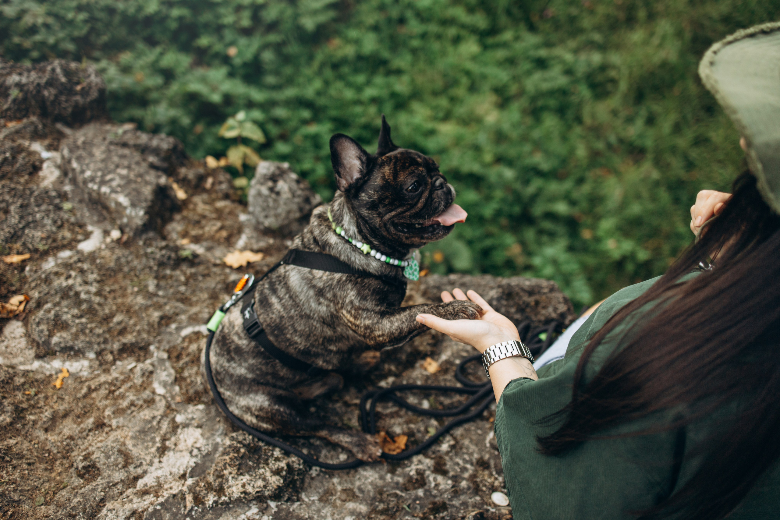 Олеся и Луи. Фотограф — Анималист | Санкт-Петербург