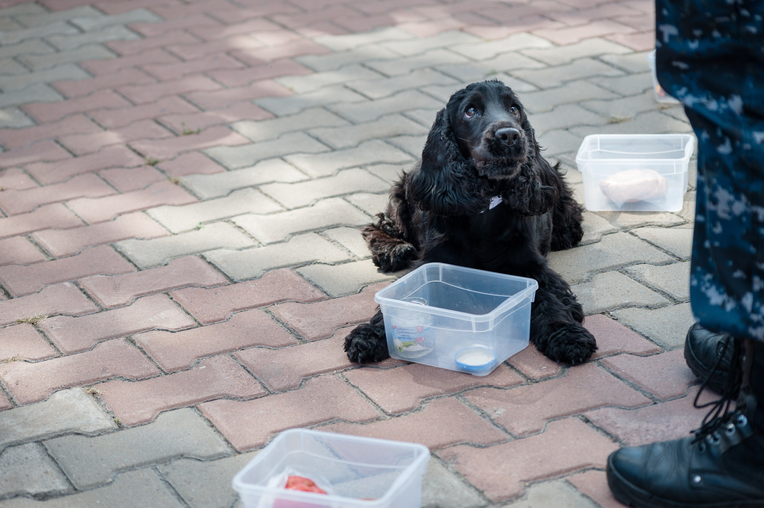 ВЗРОСЛЫЙ РЕПОРТАЖ. Приветствую! Меня зовут Александра, я занимаюсь репортажной и предметной съемкой в Красноярске