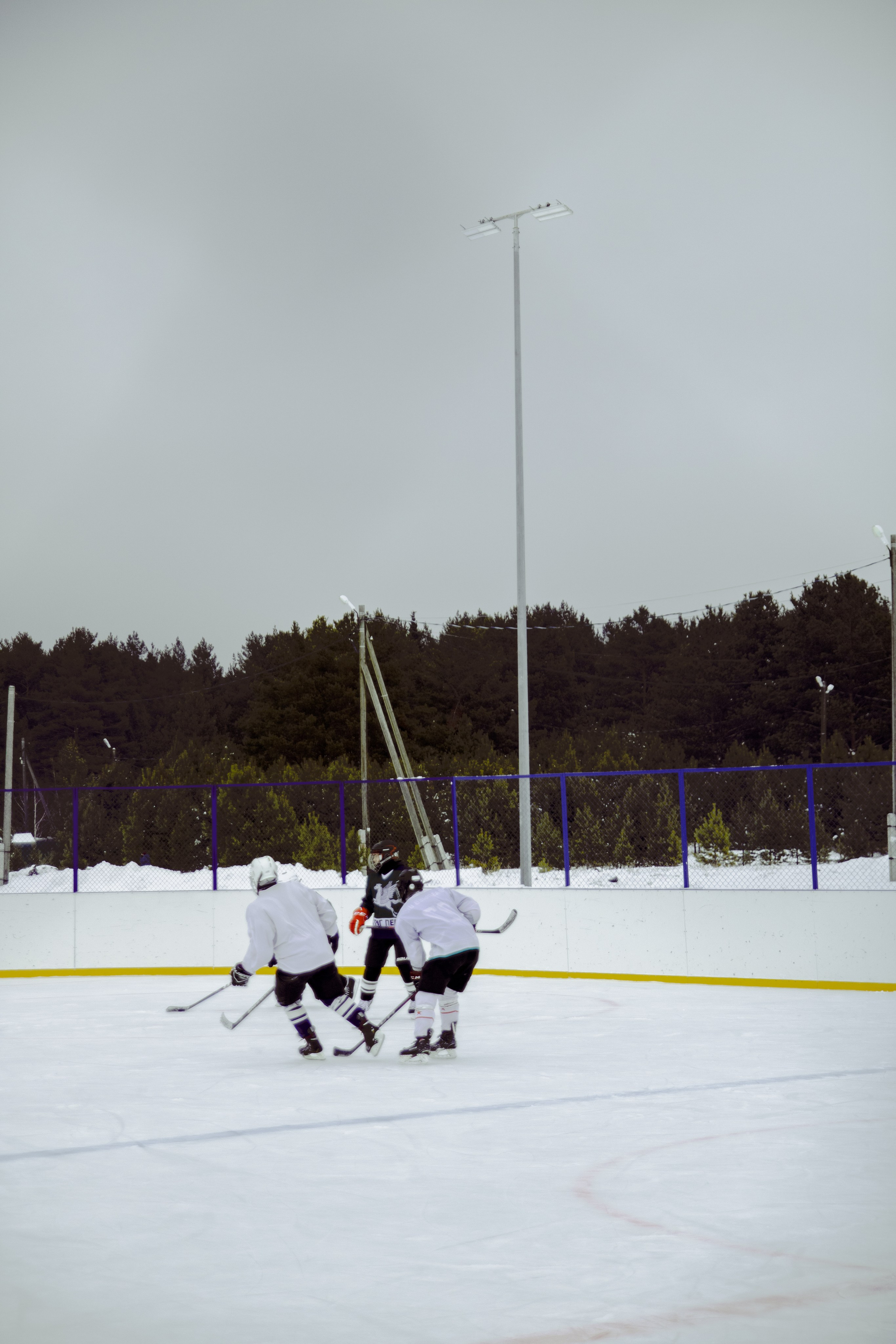 Хоккей 29.12.2024