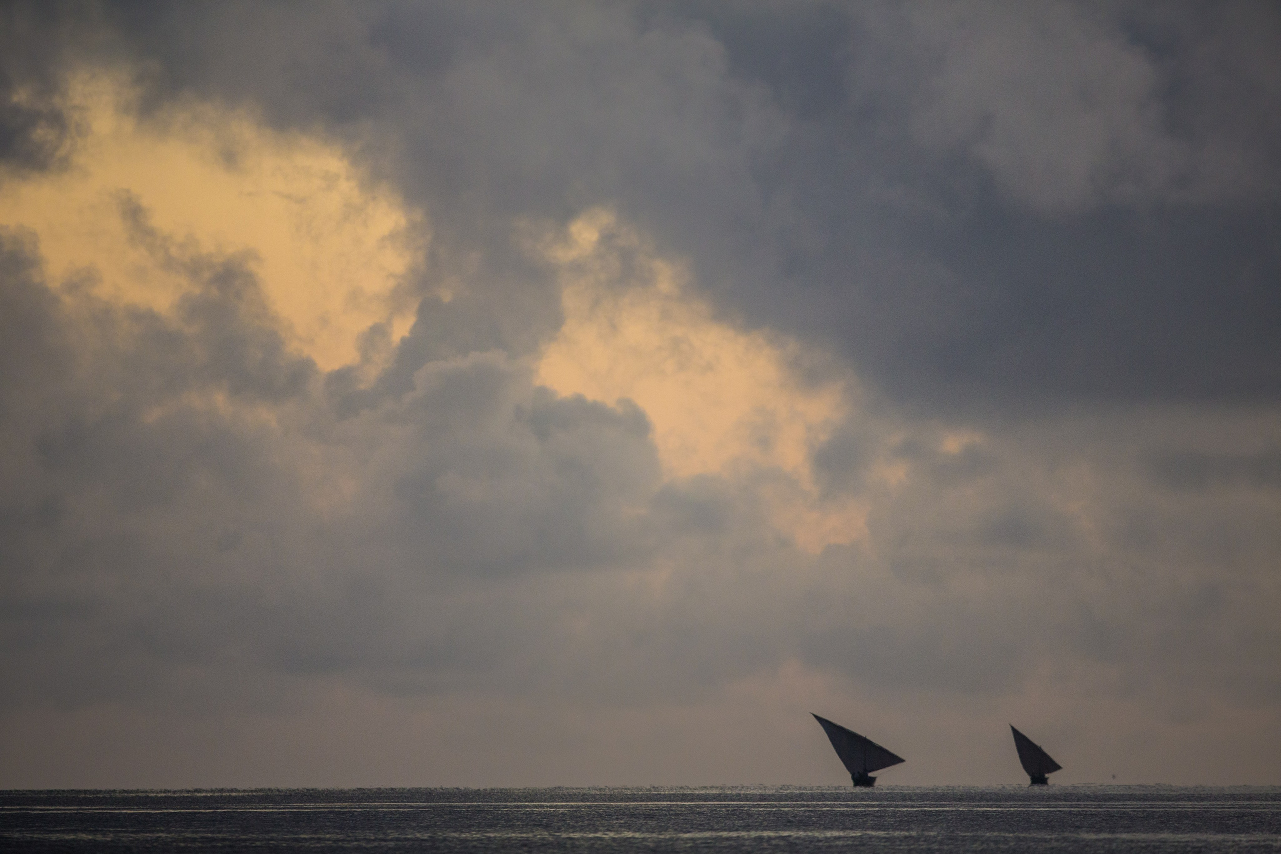 Танзания. Добродеева Алла фотограф, Москва
