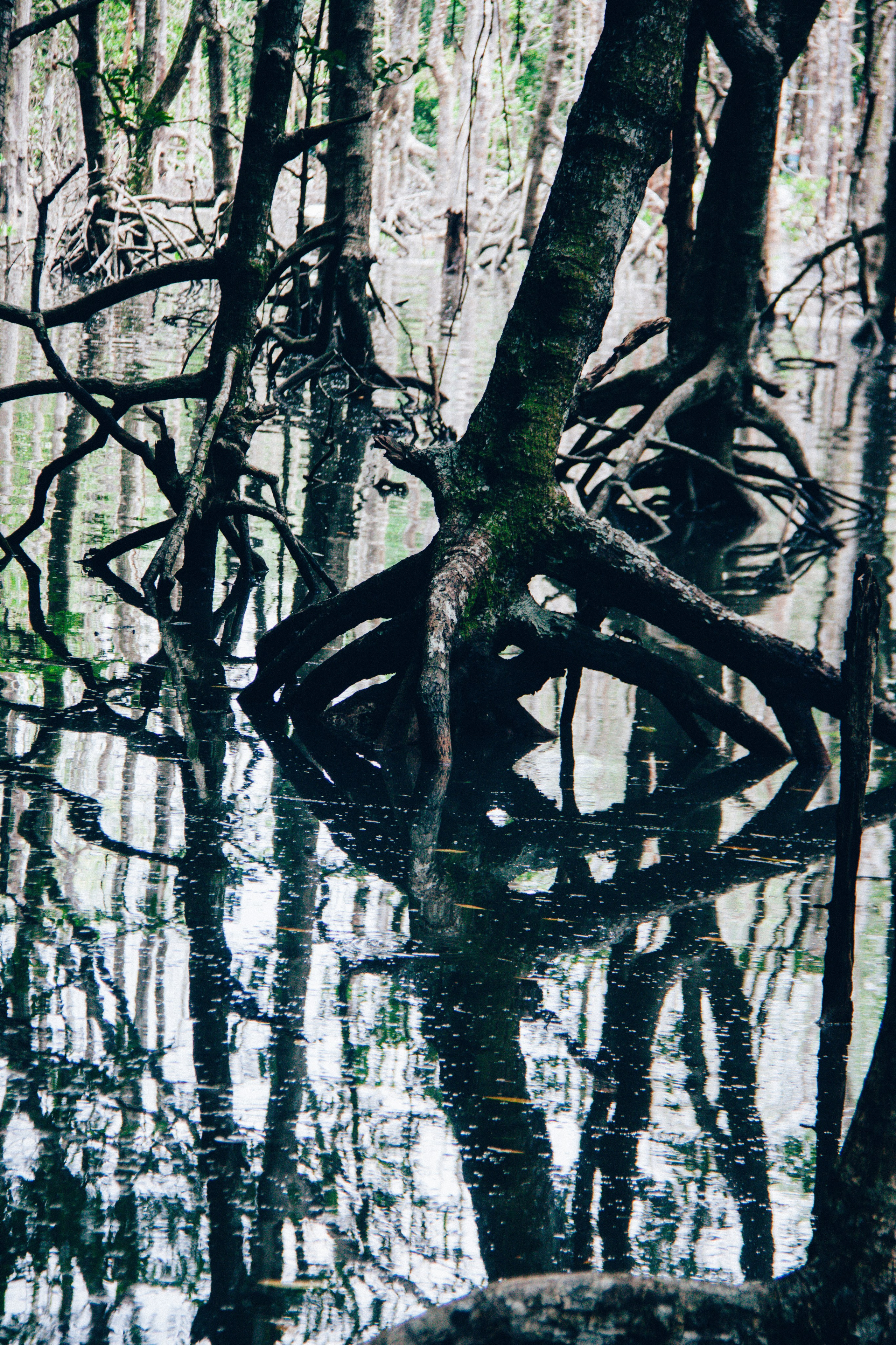 Malaysia. ДарияГалямова — фотограф: открытый, творческий, коммерческий