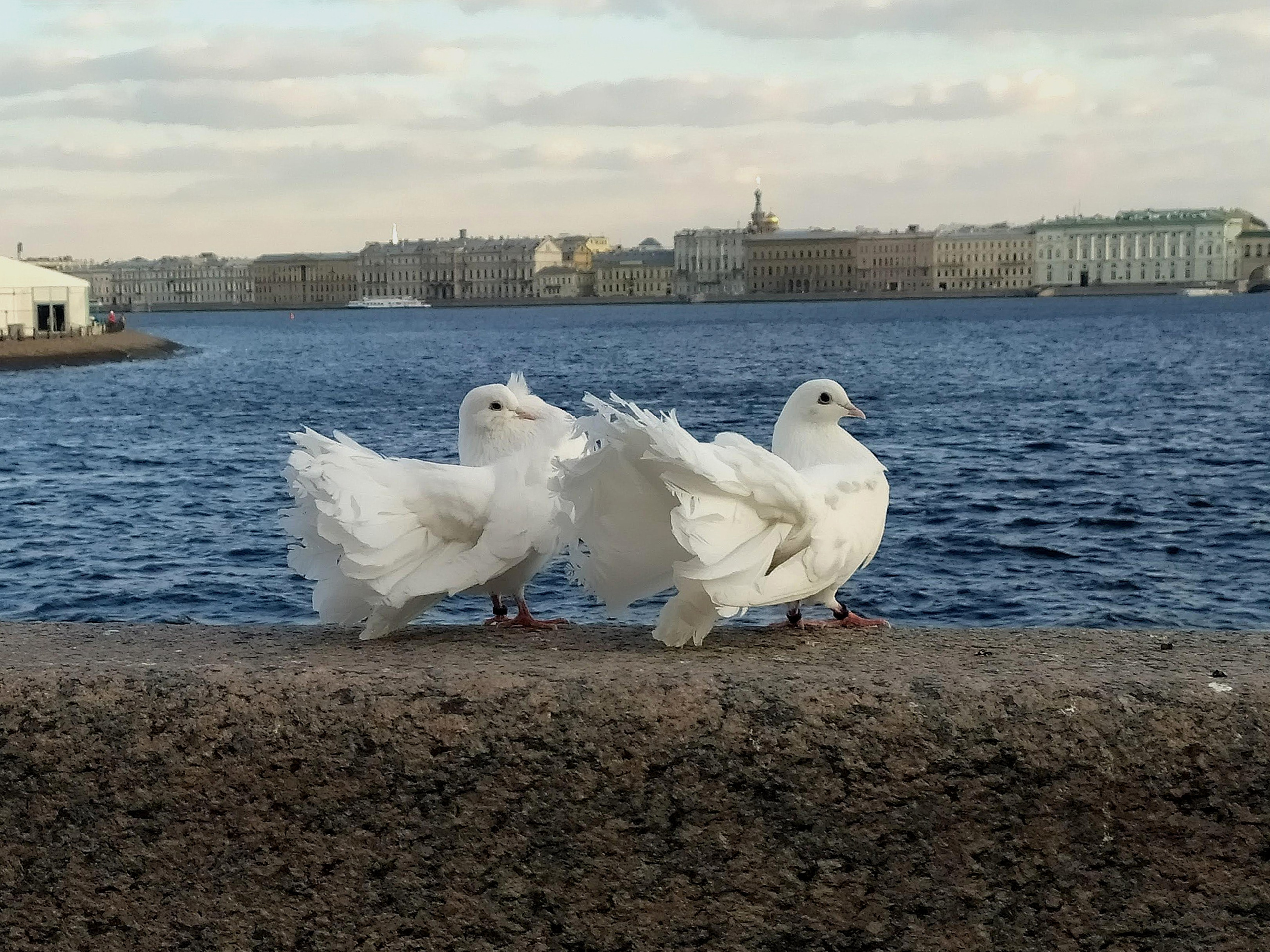 Портфолио. Natashaleto. Моменты в фотоснимках. Портретный / и не только/ фотограф Наталья. Санкт-Петербург