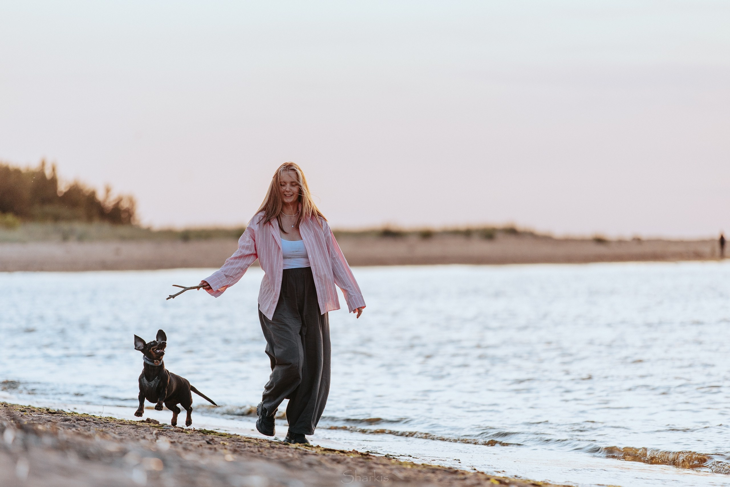 Аня и Алиса. Главная