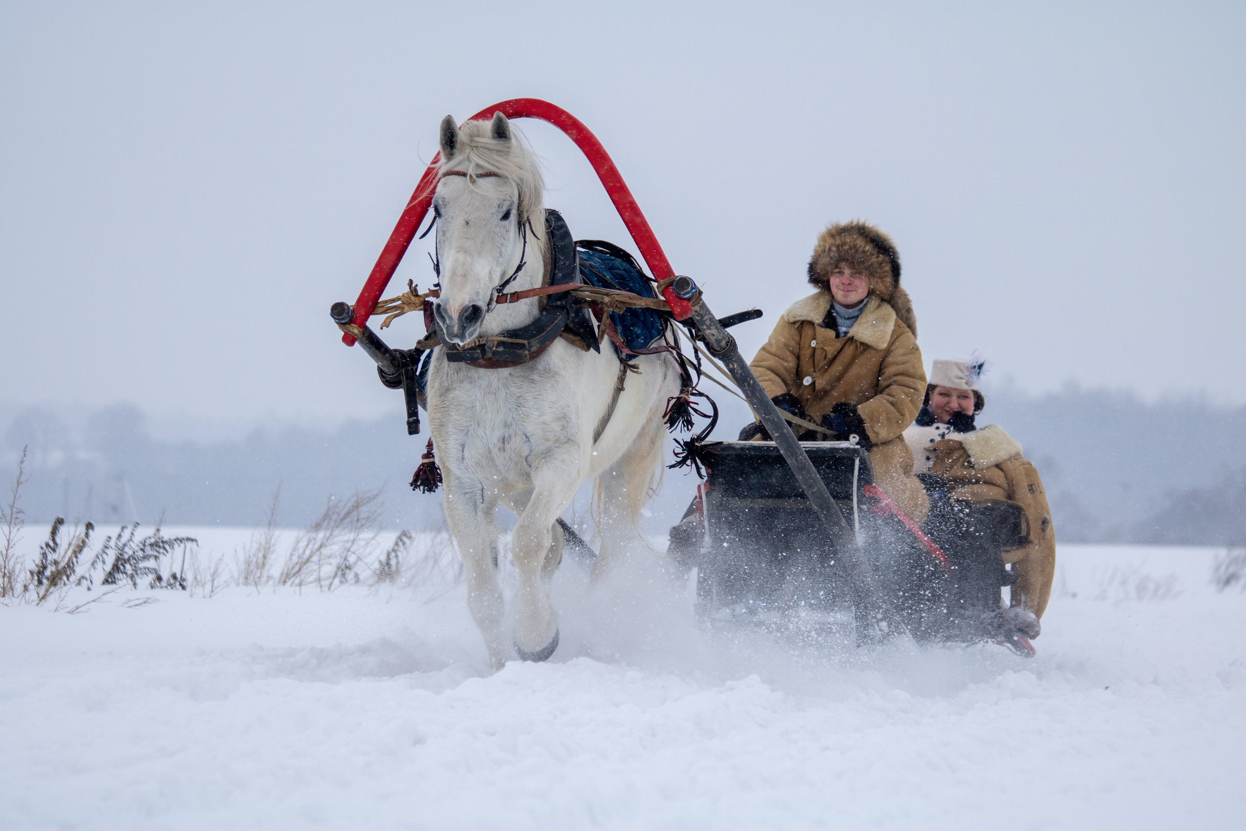 Конно-псовые охоты. Балетный фотограф в Москве Галина Молчанова