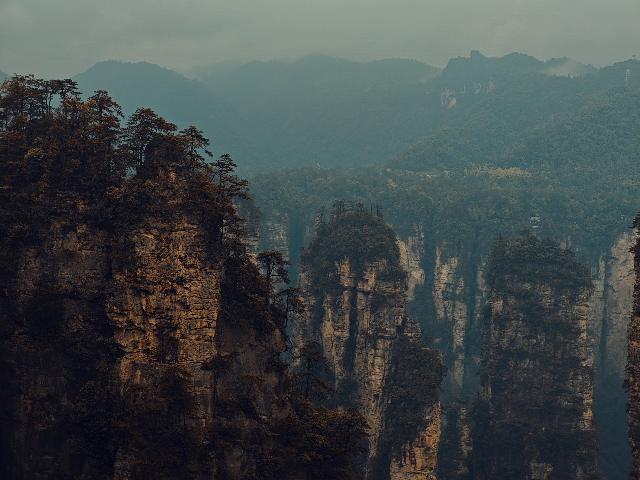 The Great Journey to China. Brjankin.com